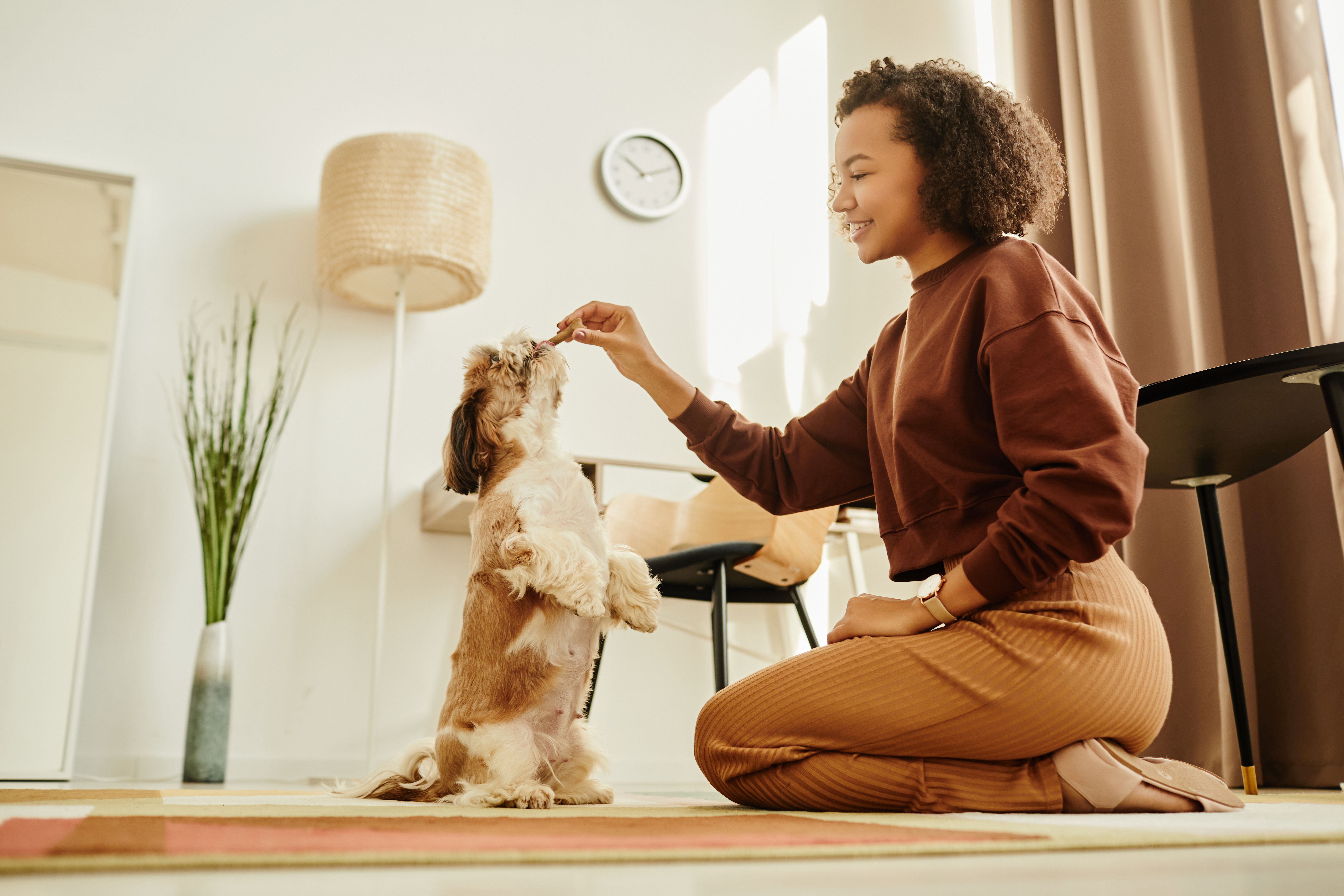 Side view portrait of black young woman playing with dog at home