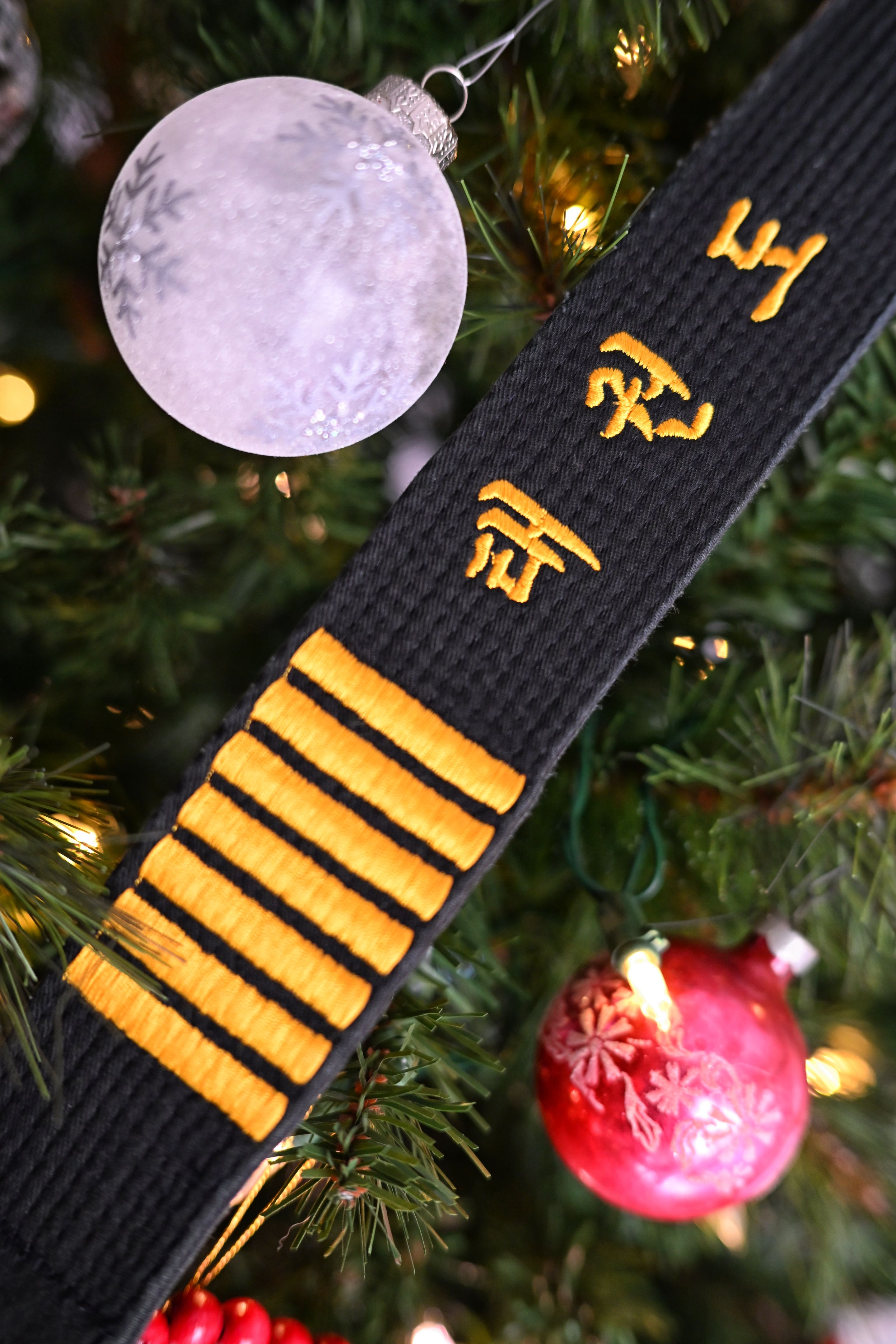 karate decorations