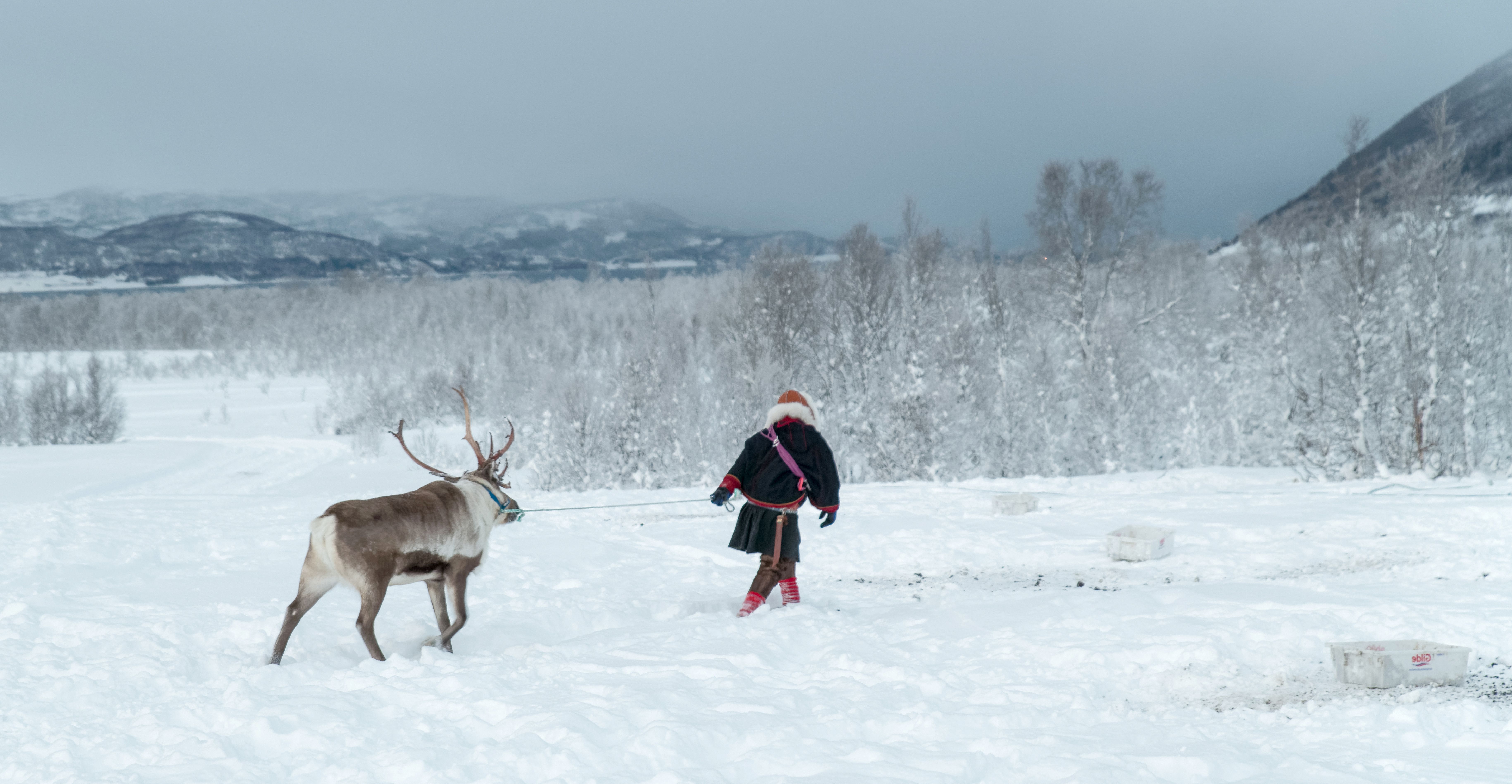 sami culture