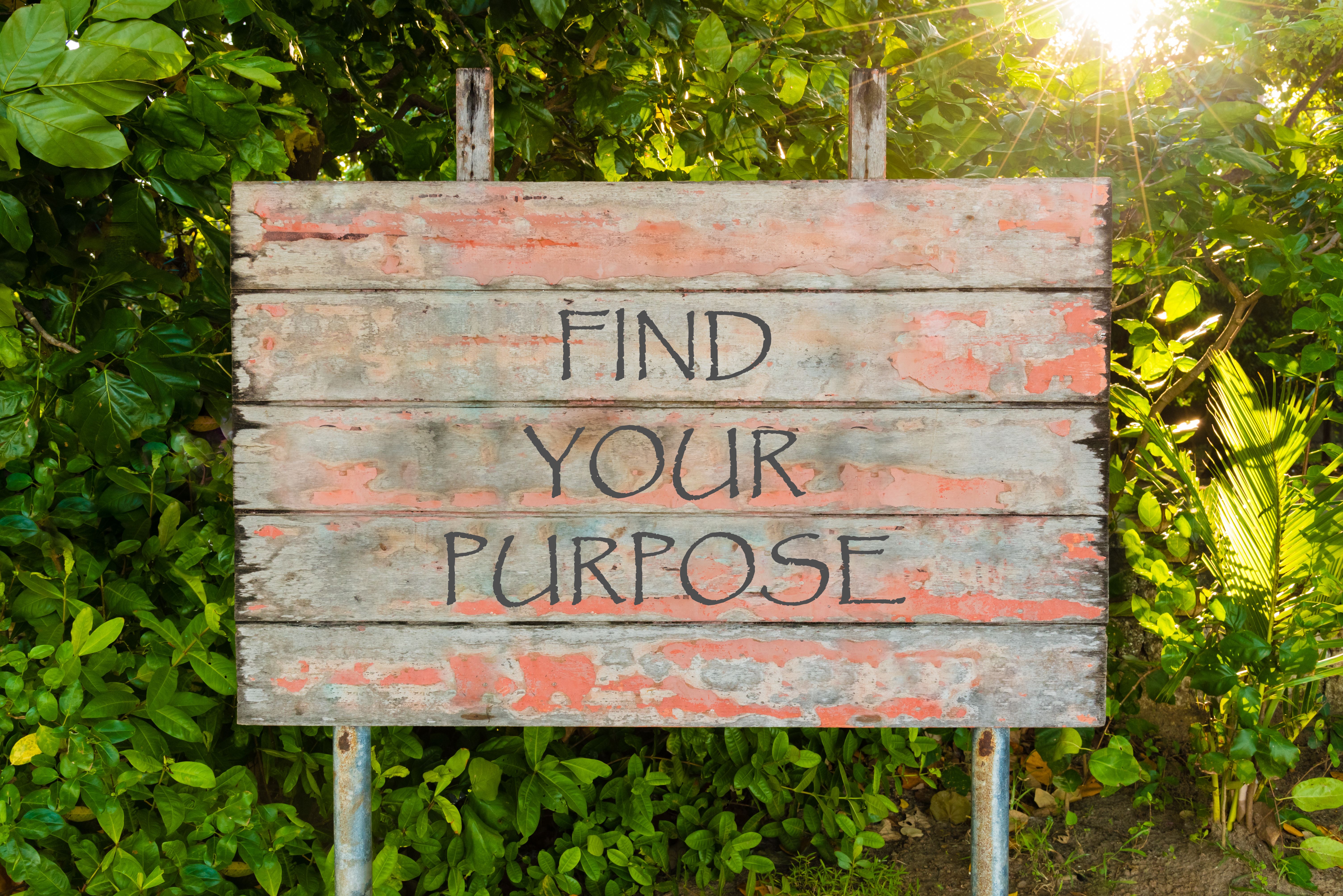 person finding purpose