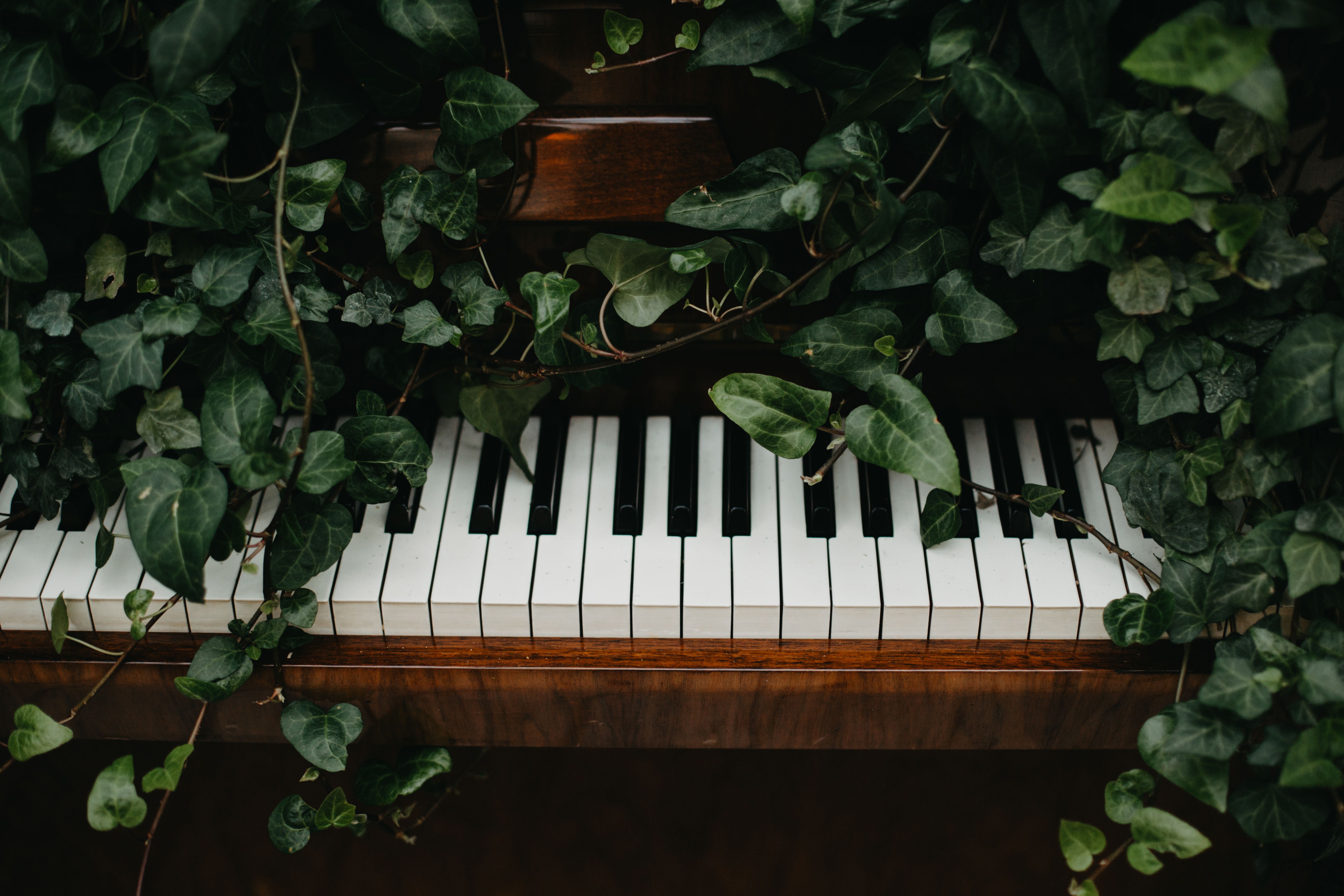 summer piano