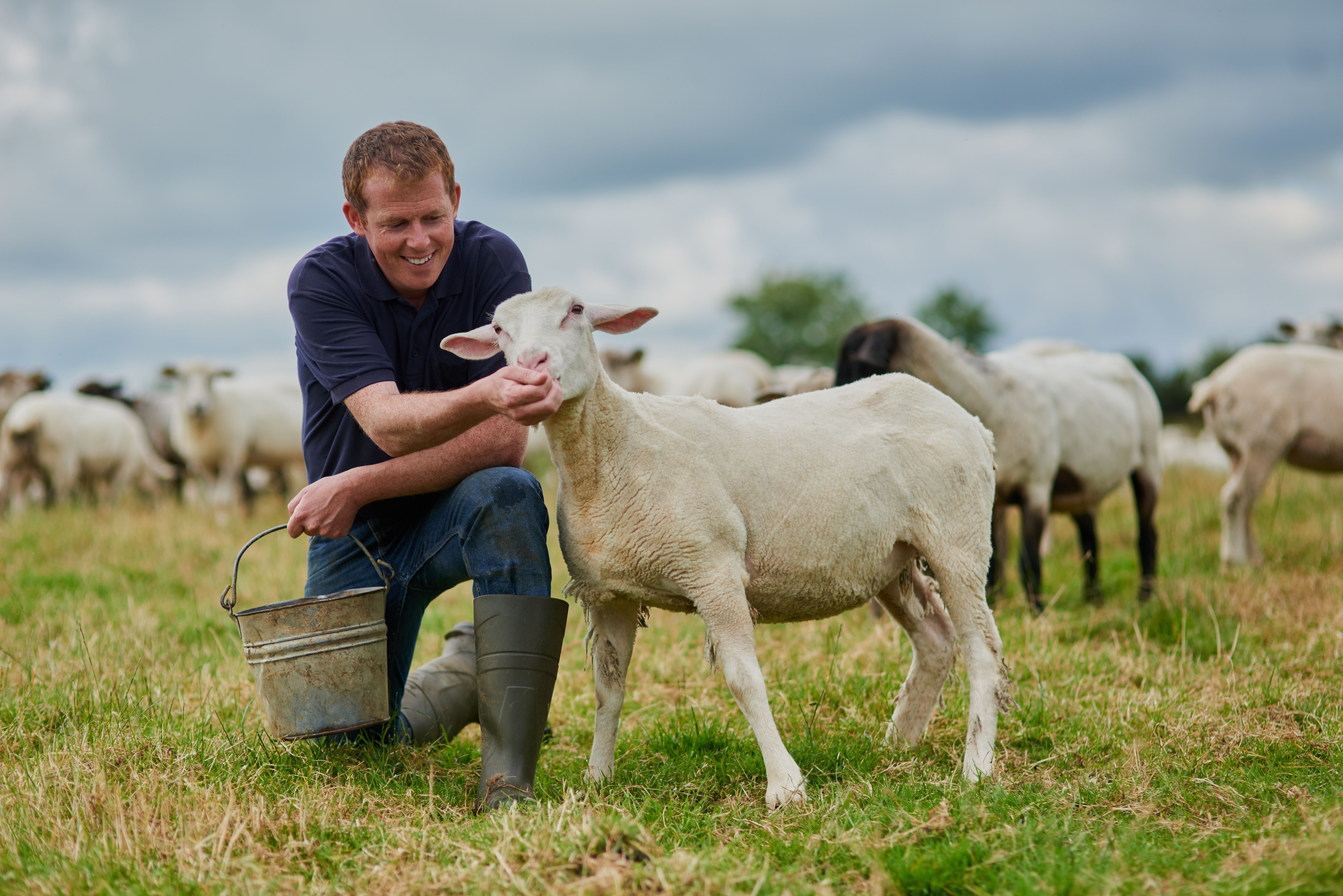 farmer with cattle