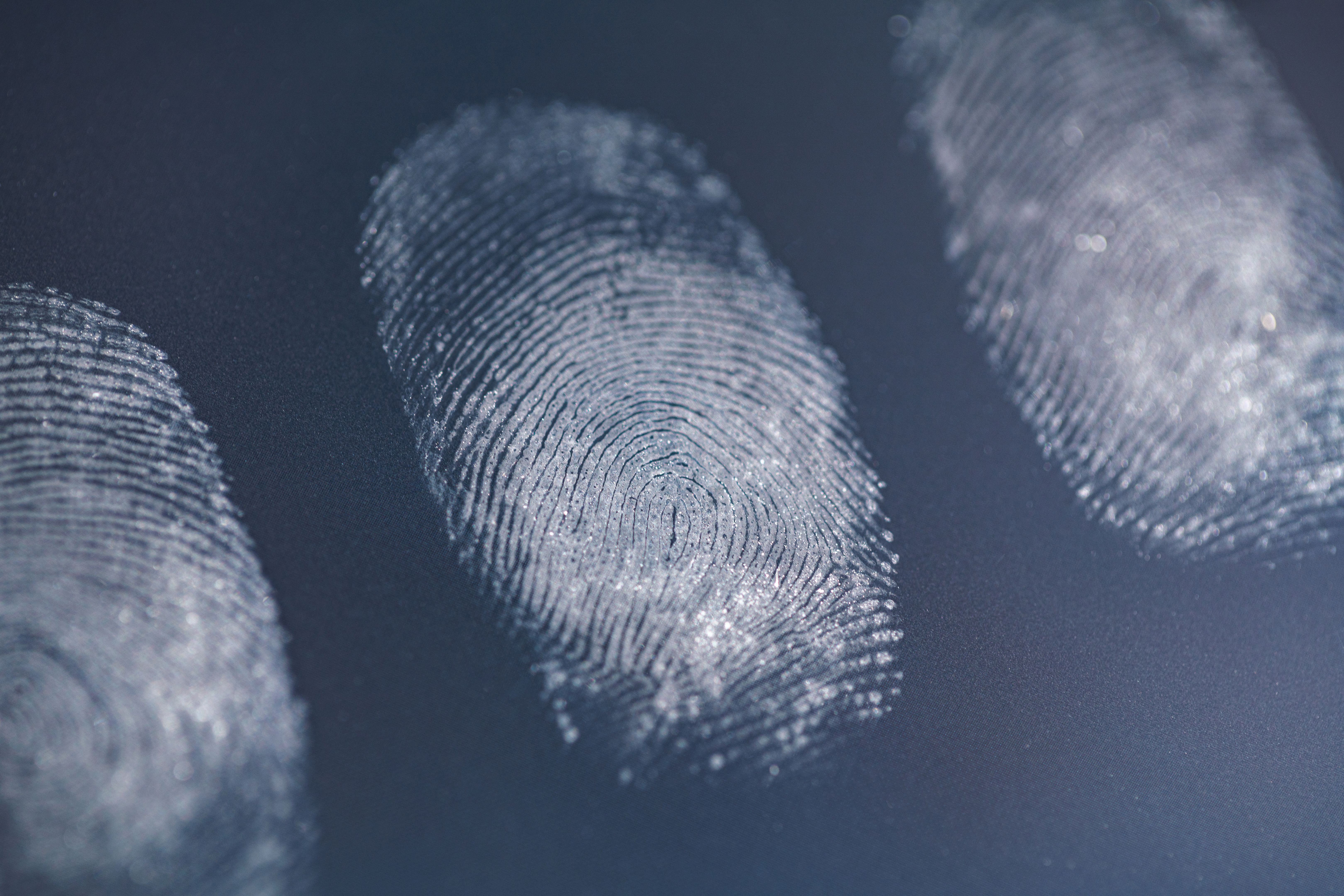 police fingerprint database