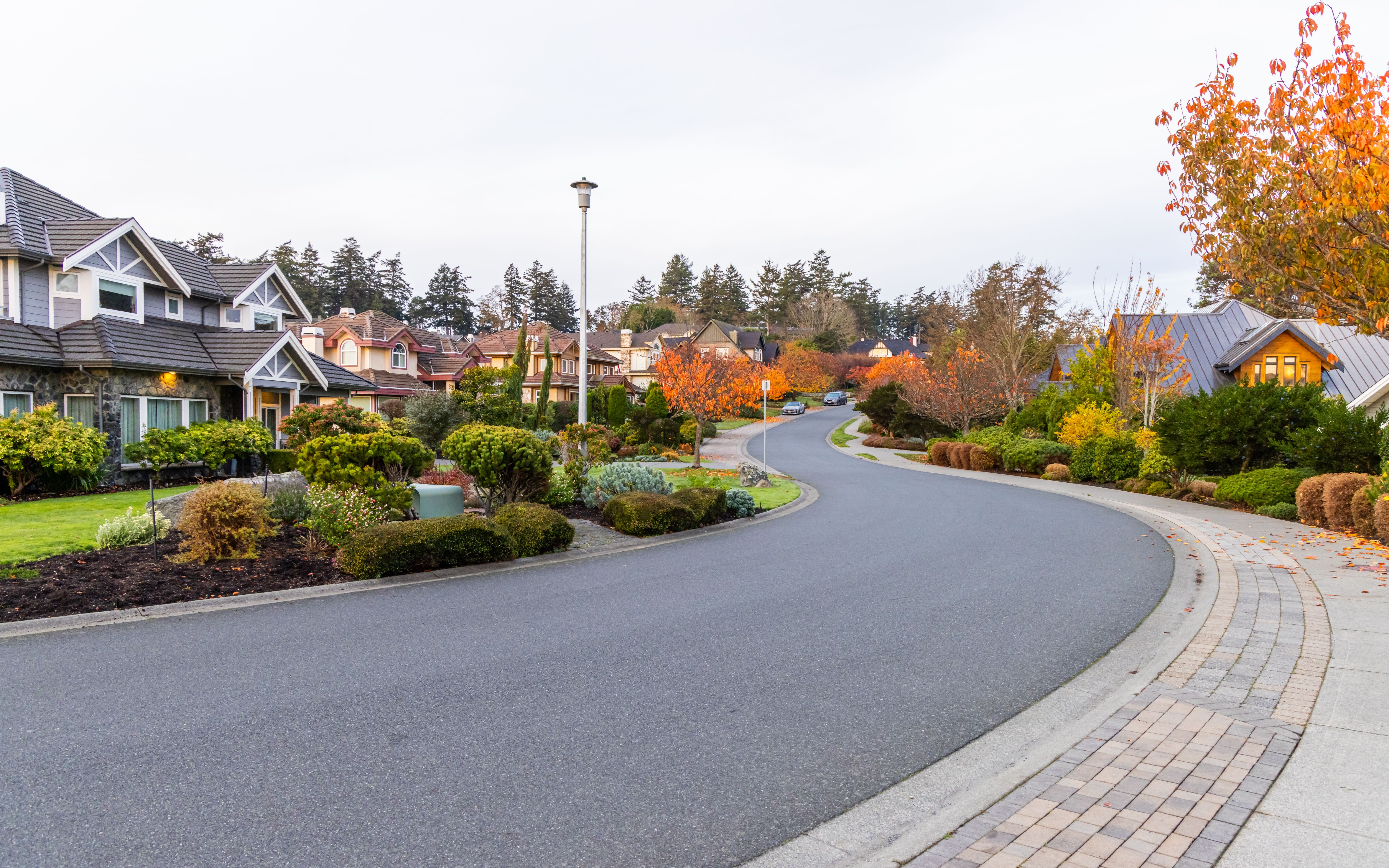 neighborhood street