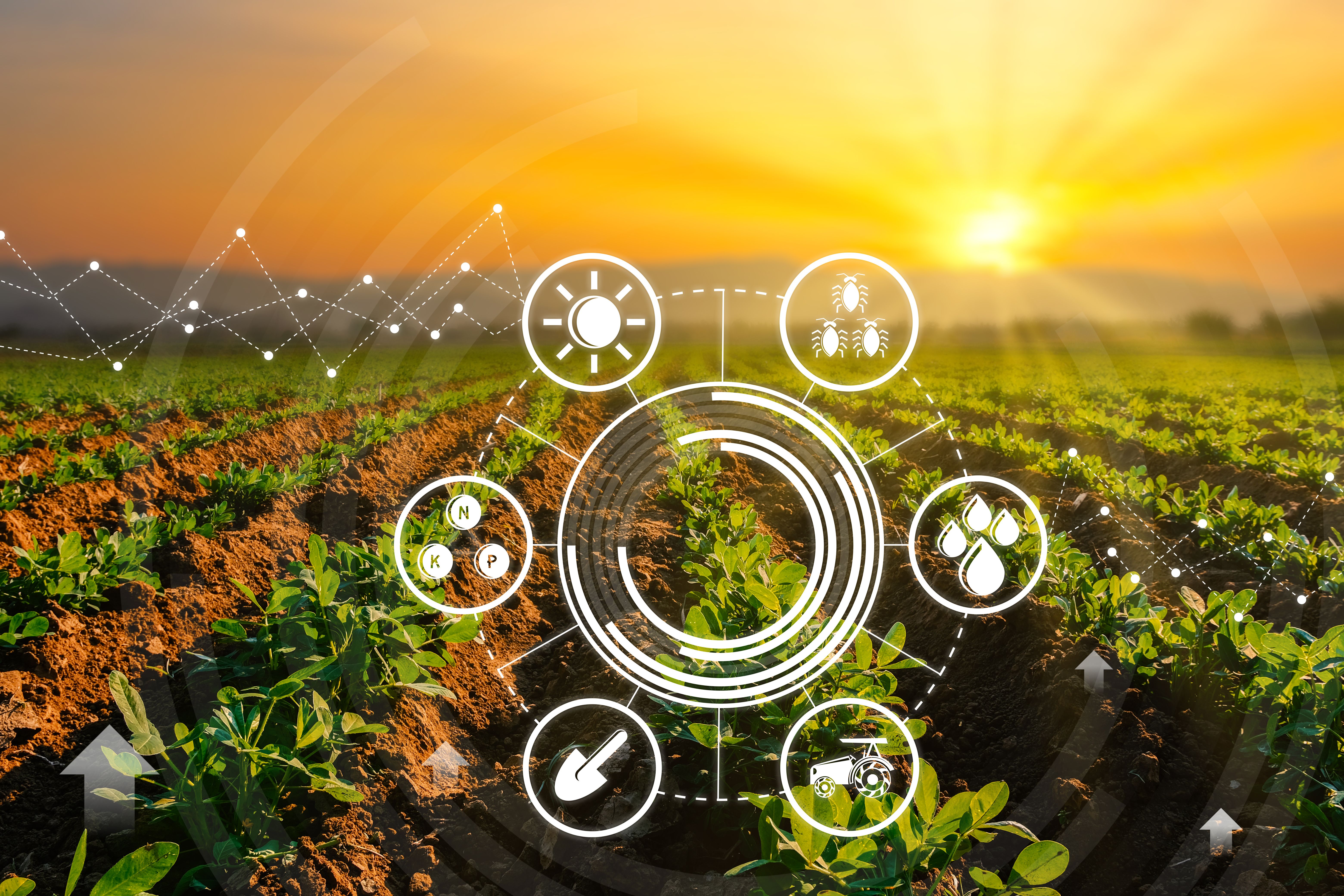 strategic planning agriculture