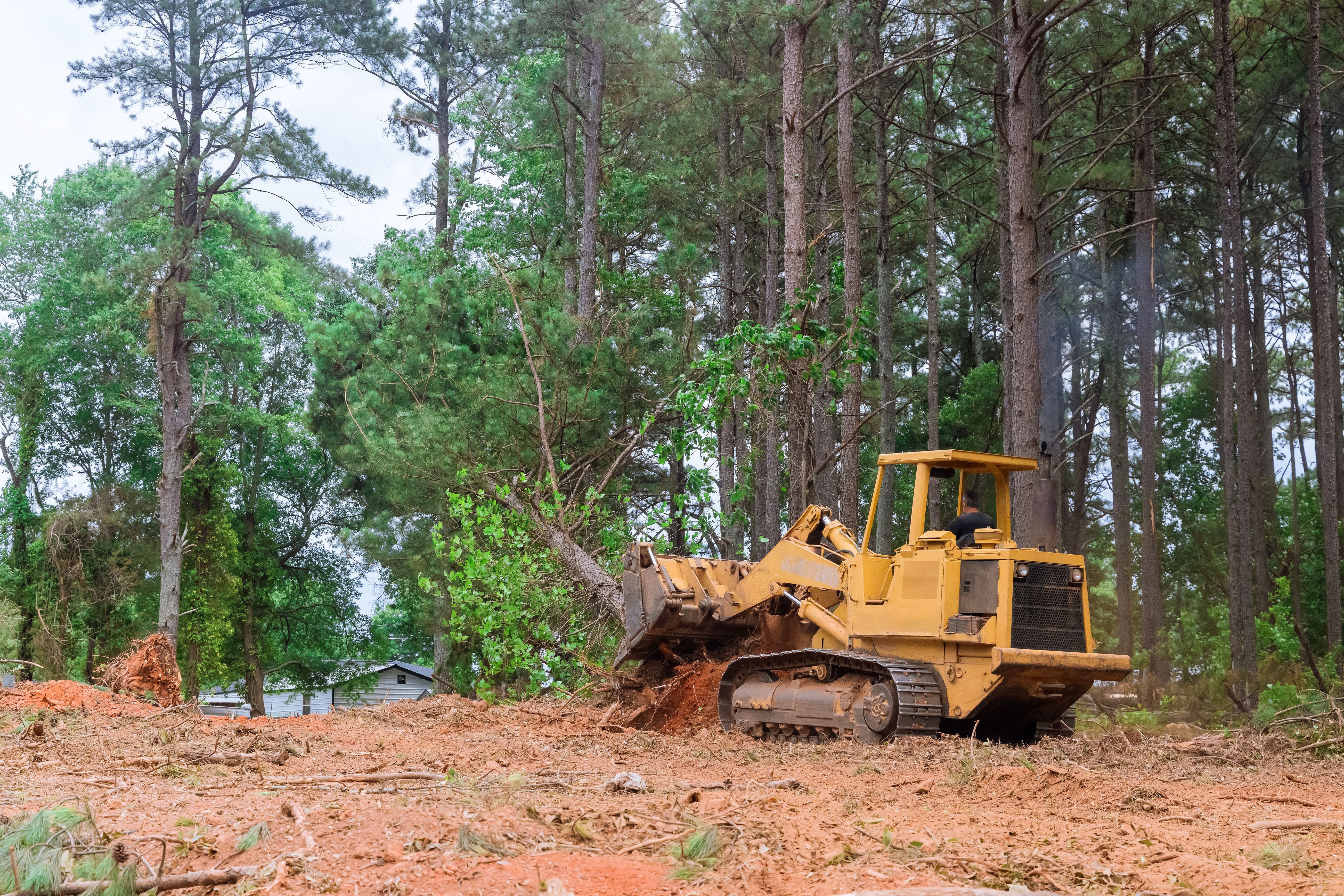 land clearing