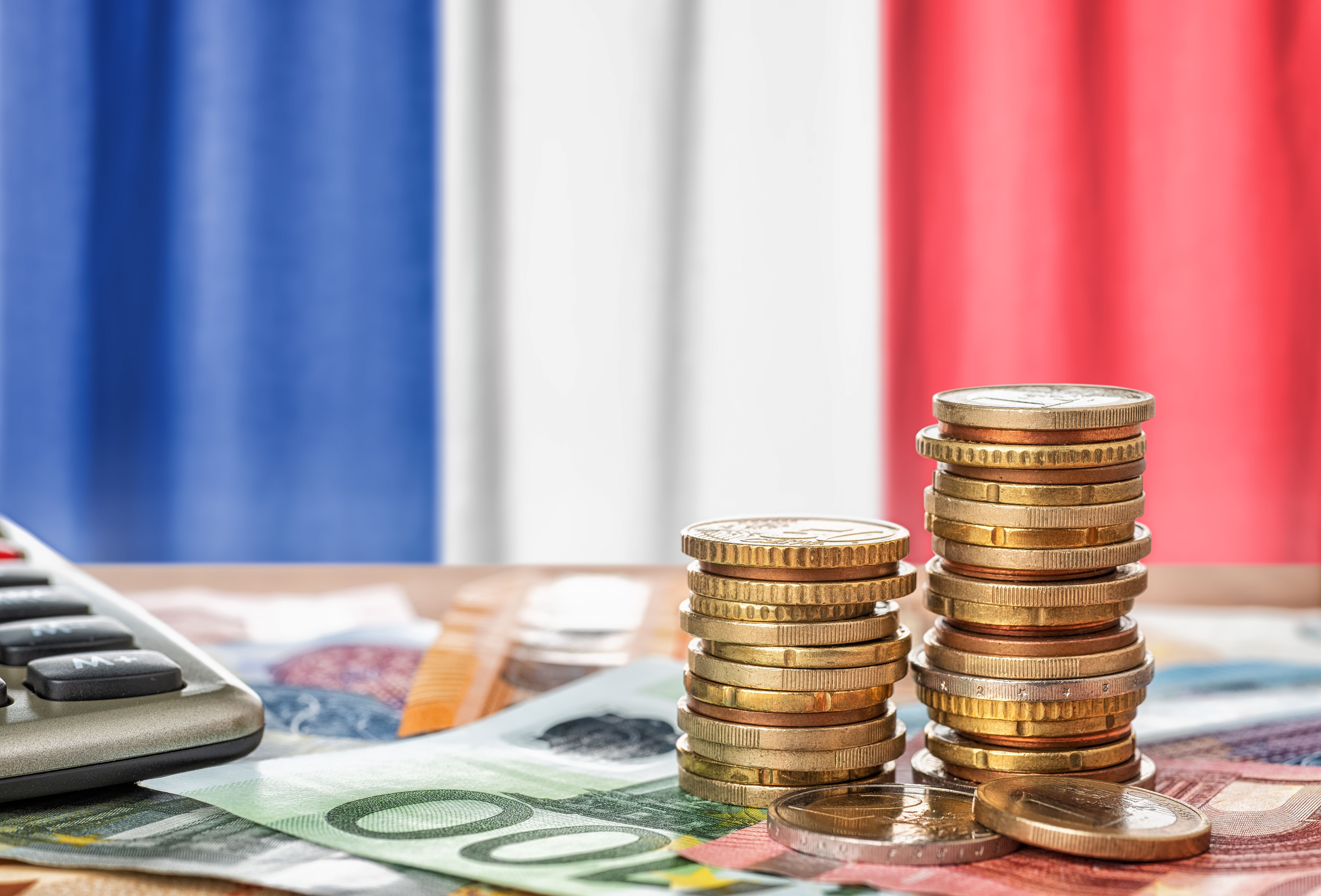 Euro banknotes and coins in front of the national flag of France Euro banknotes and coins in front of the national flag of France