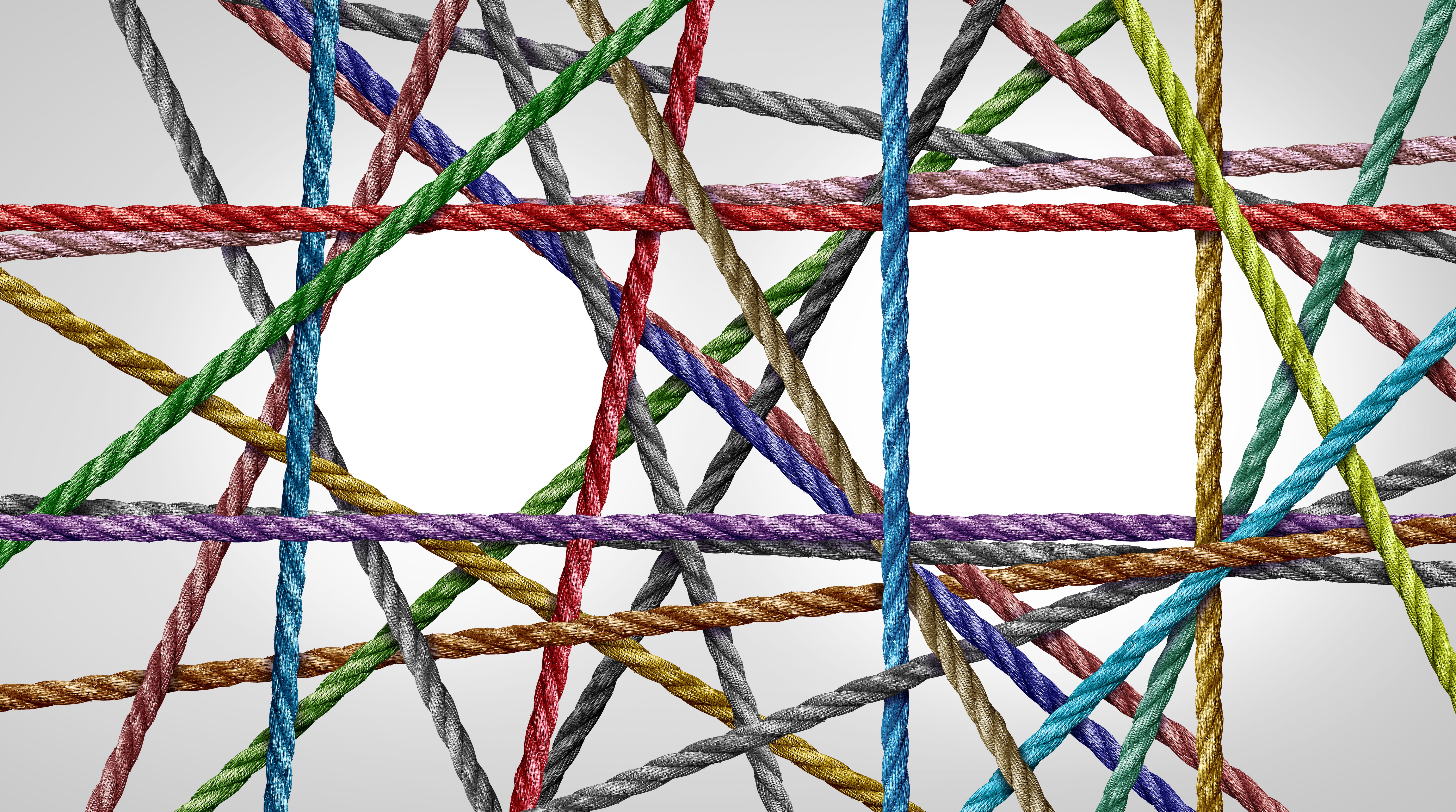 oracle vs microsoft dynamics