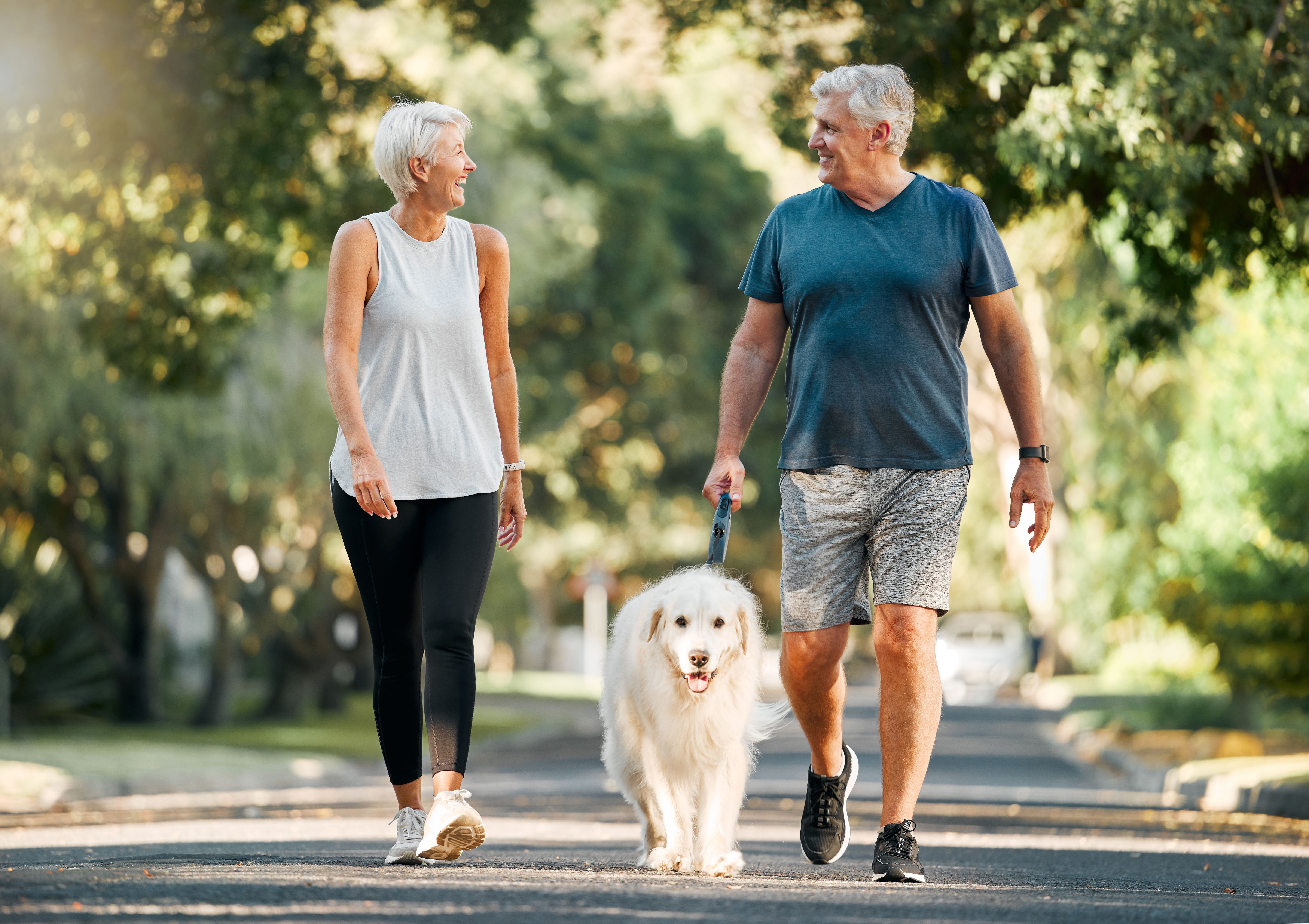 pet exercise