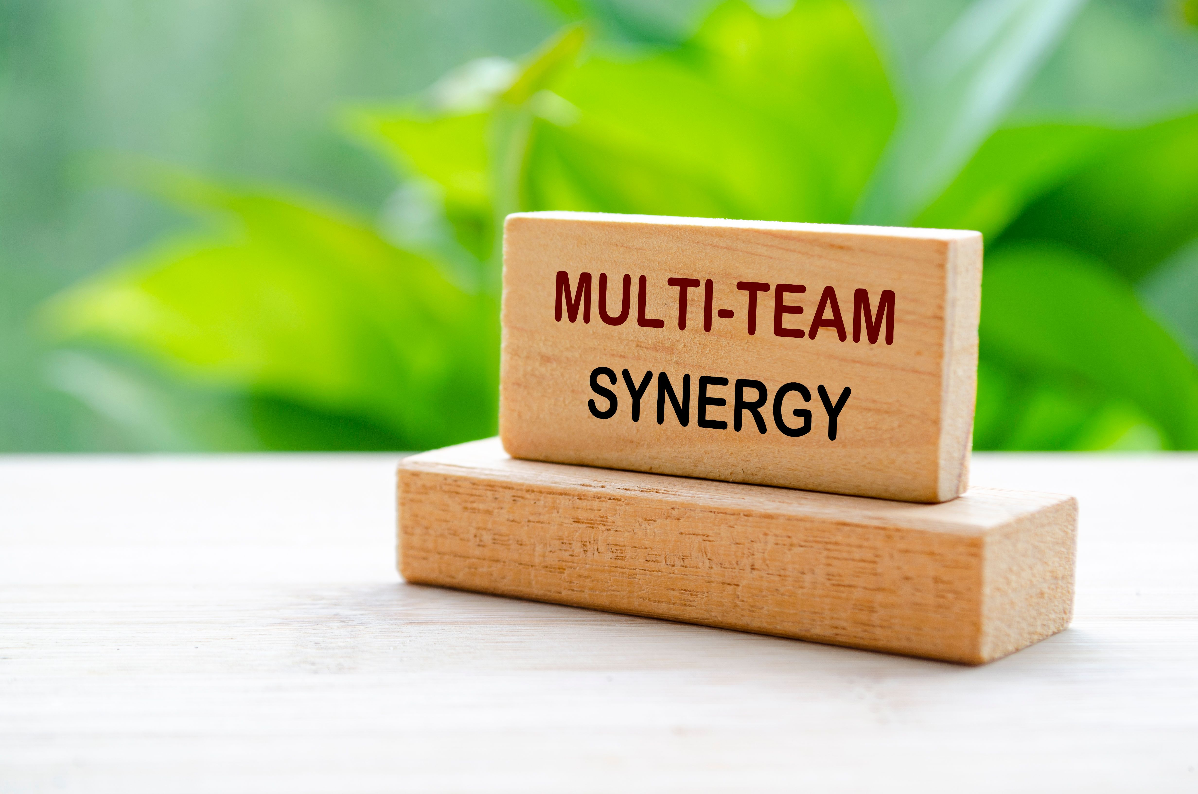 multidisciplinary design team