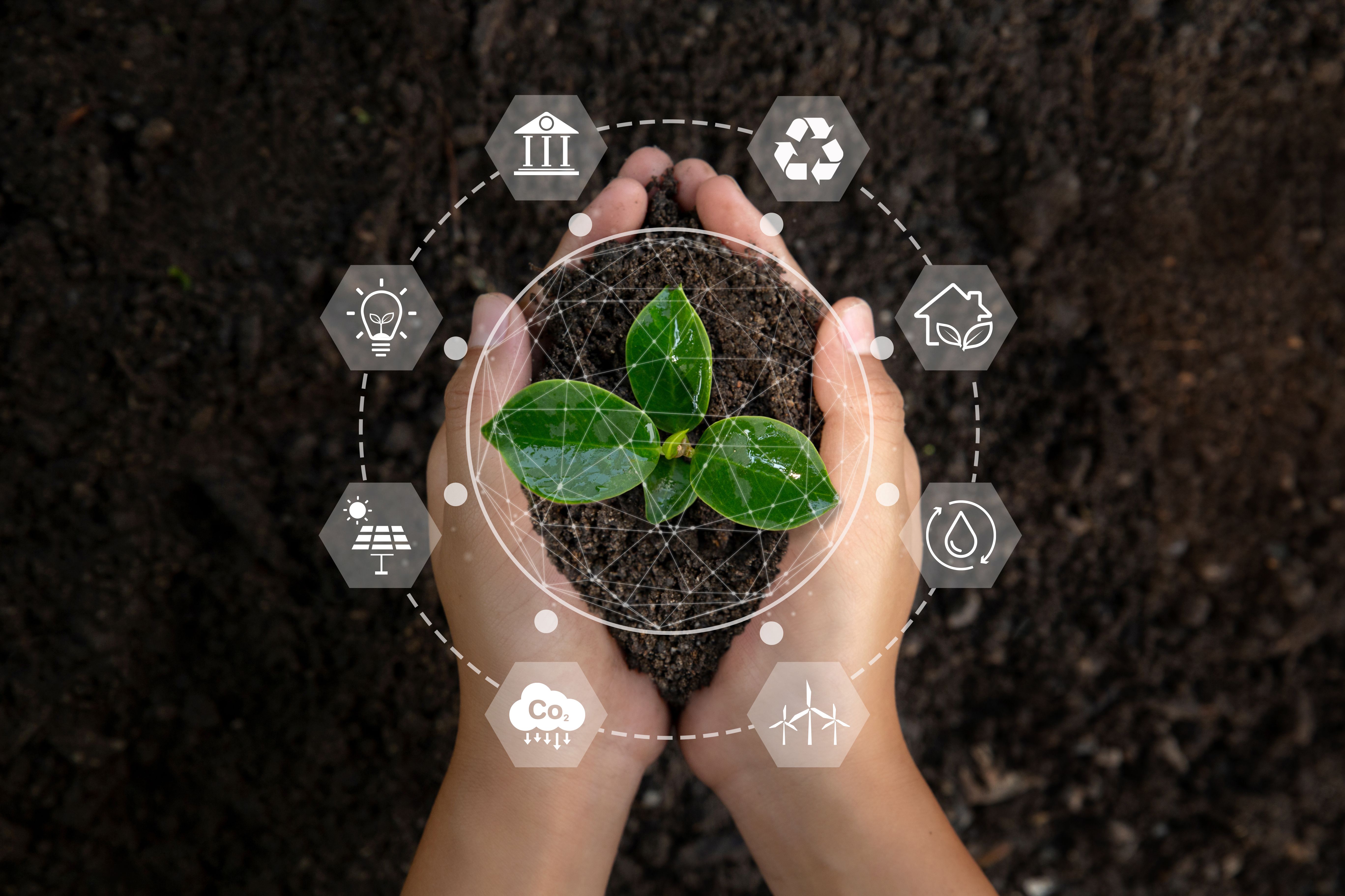 sustainable farming