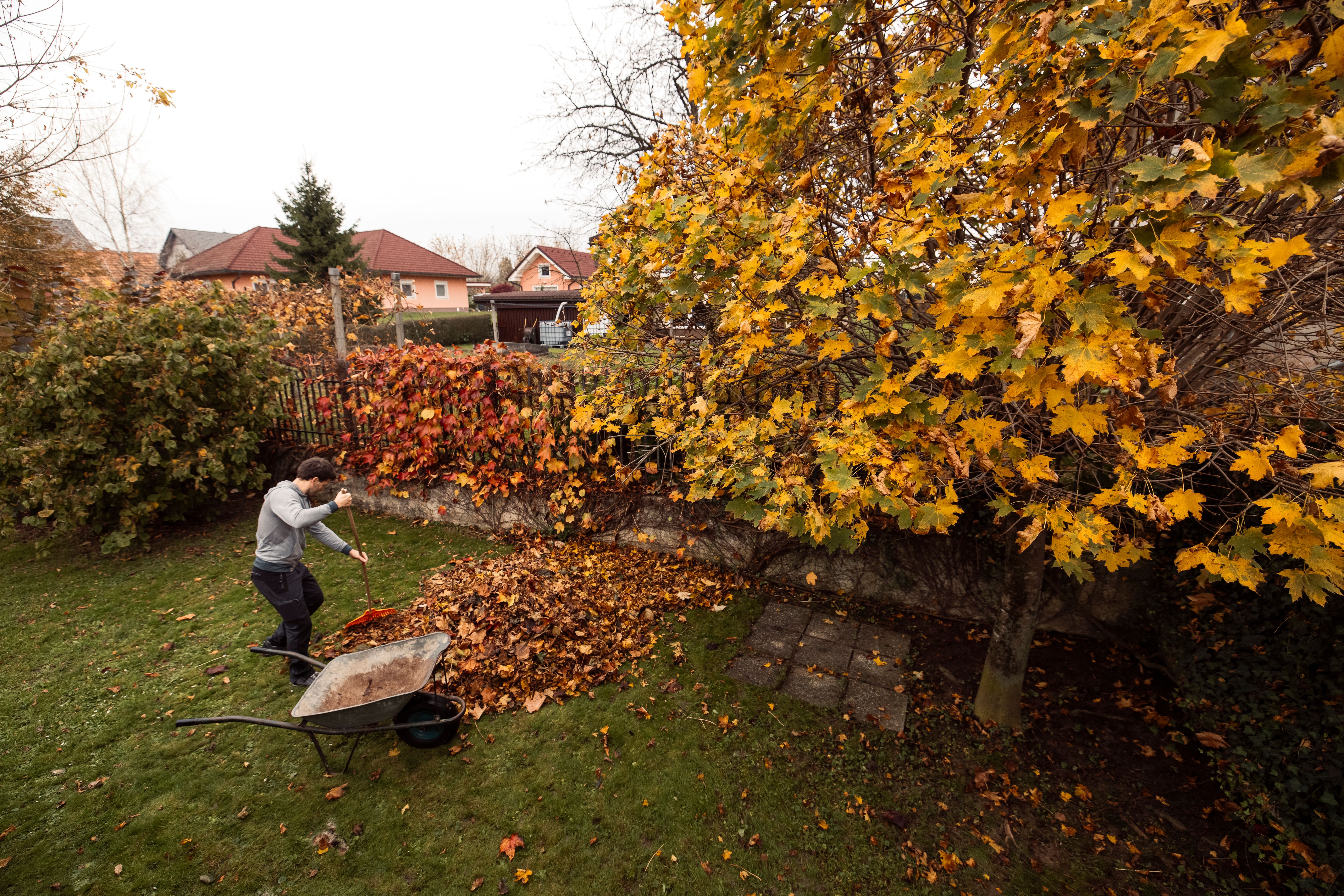 seasonal property maintenance