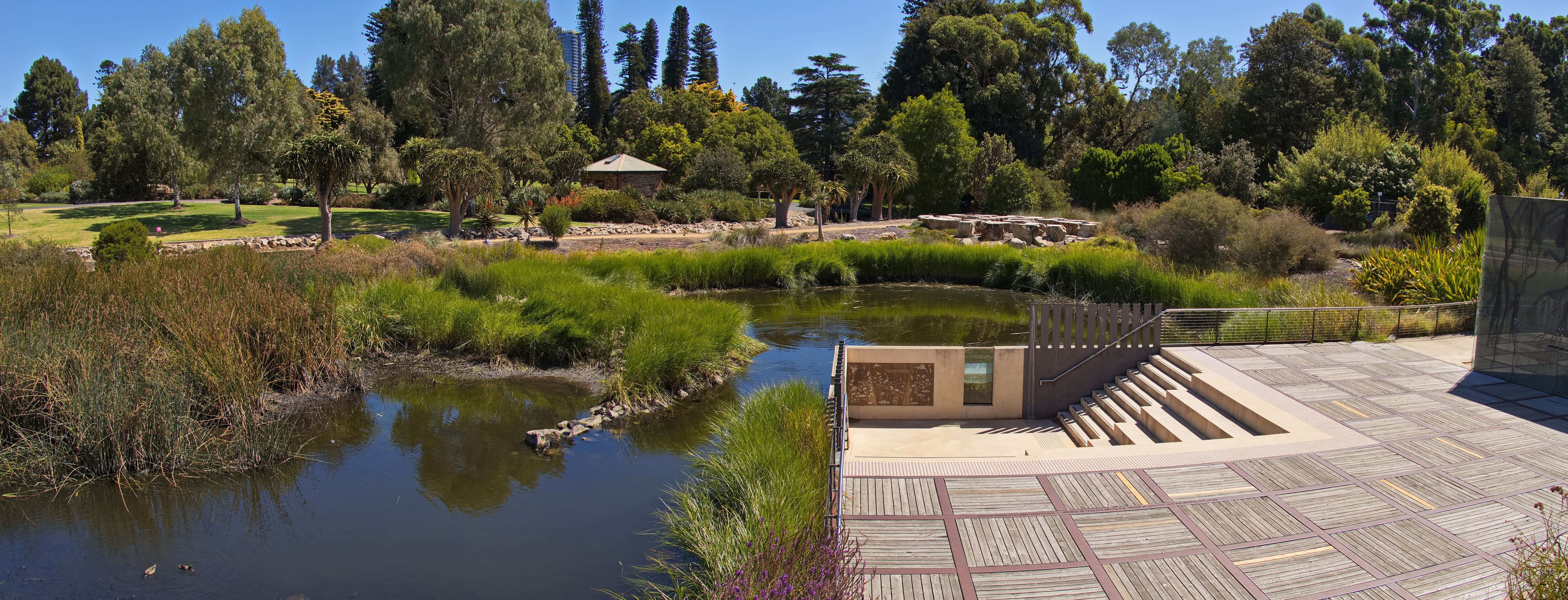 adelaide summer garden