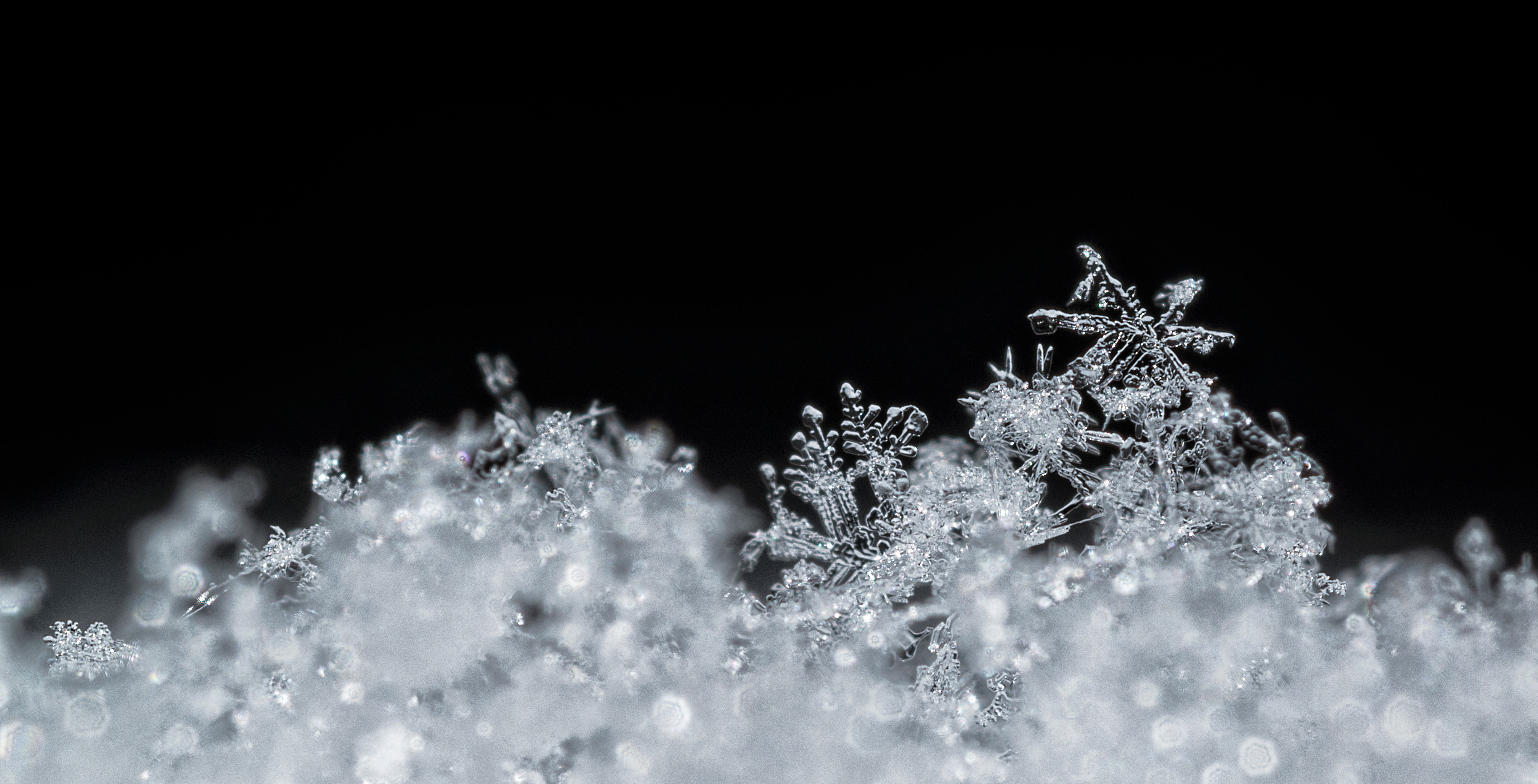 snowflake ice