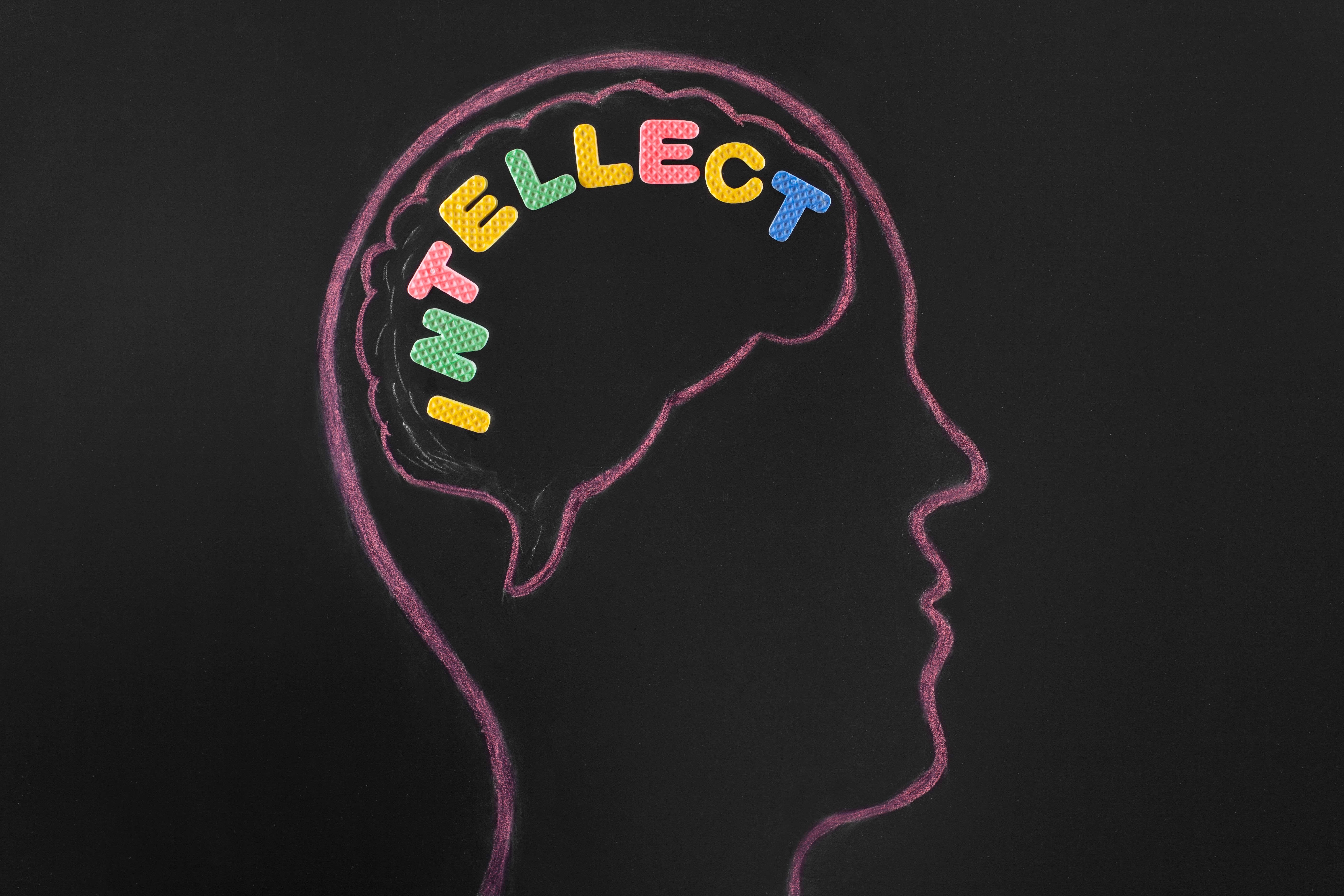 Intellect in the head on blackboard. Intellect in the head on blackboard.