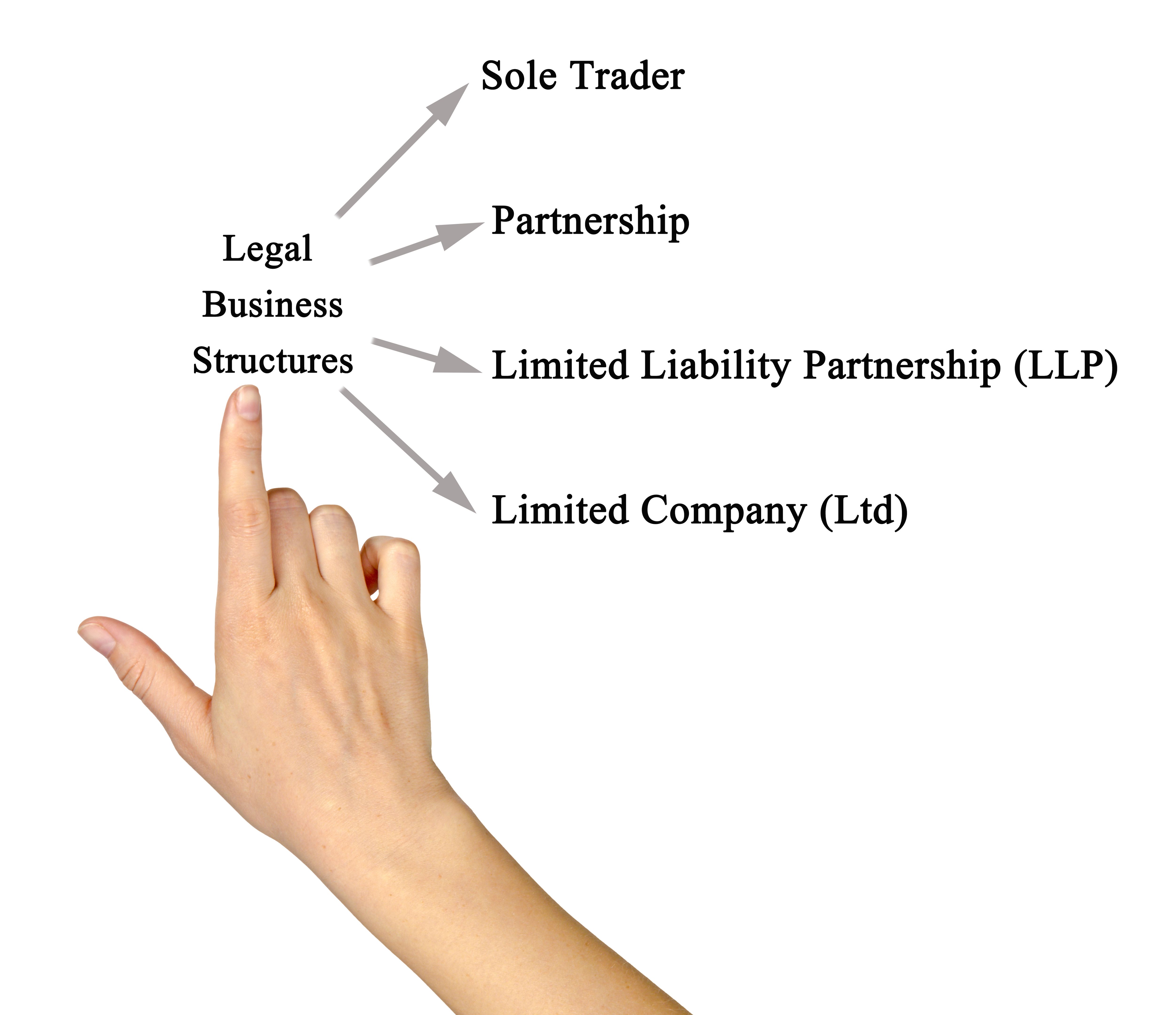 multi-member llc