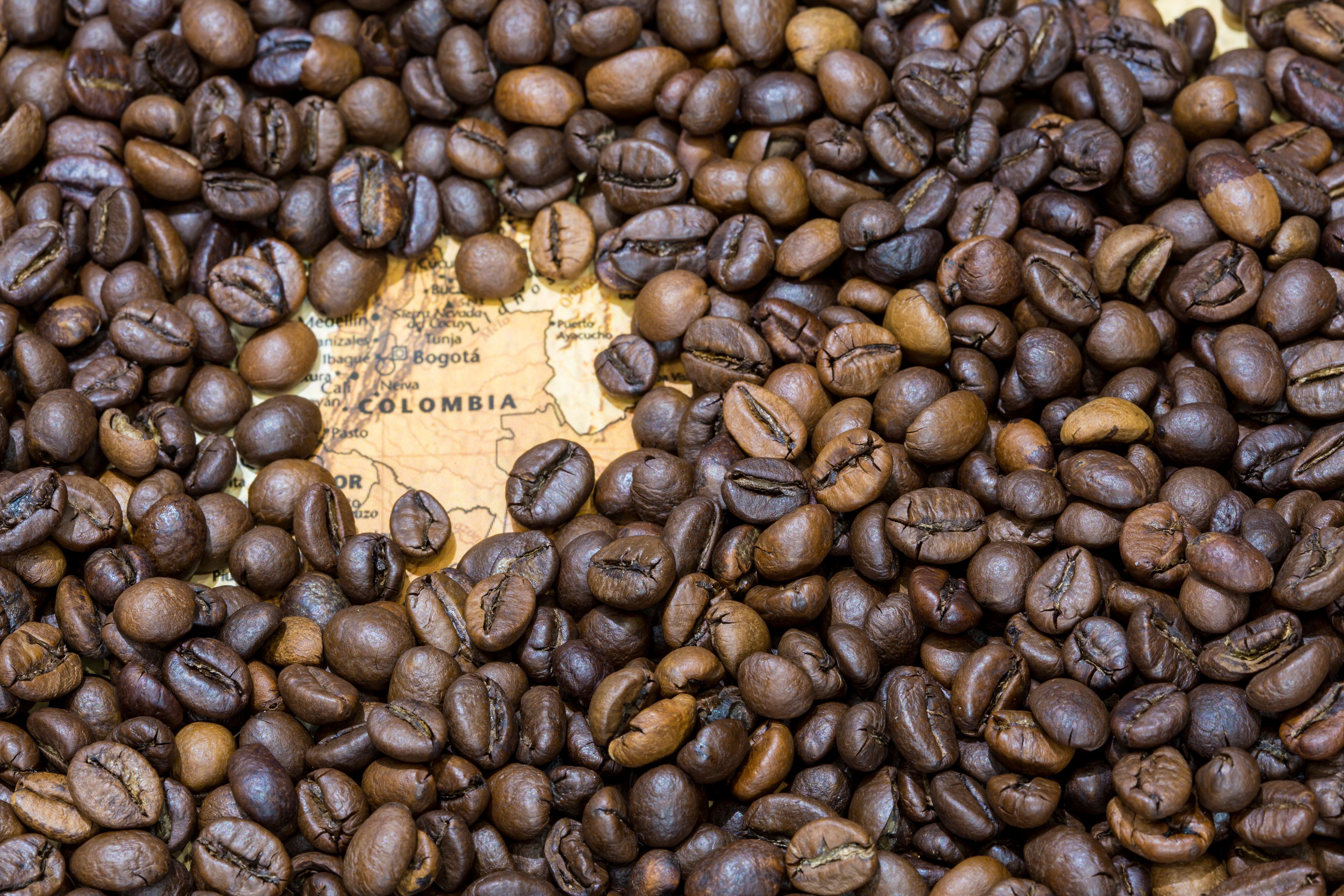 coffee export documents