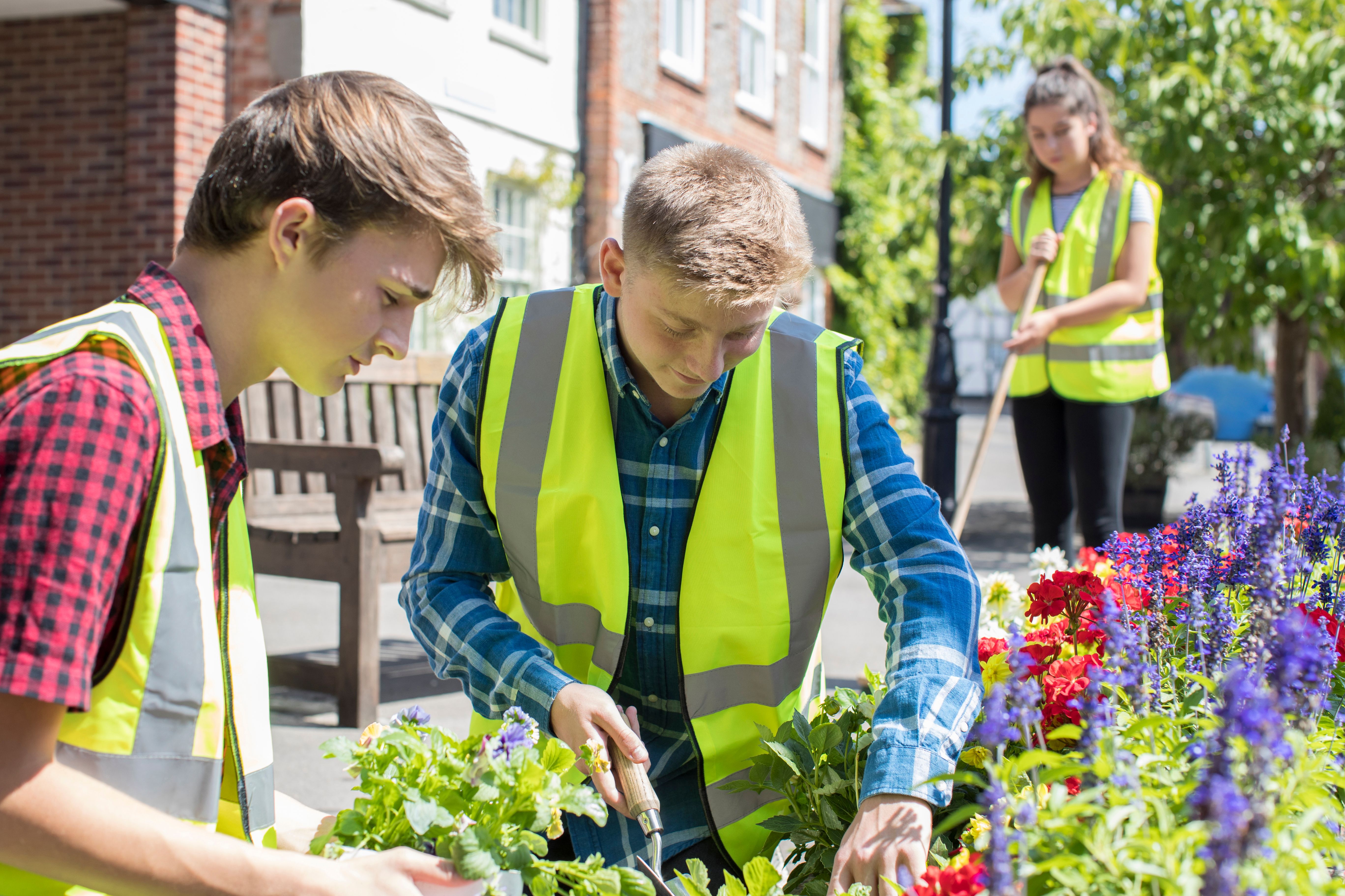 volunteers gardening