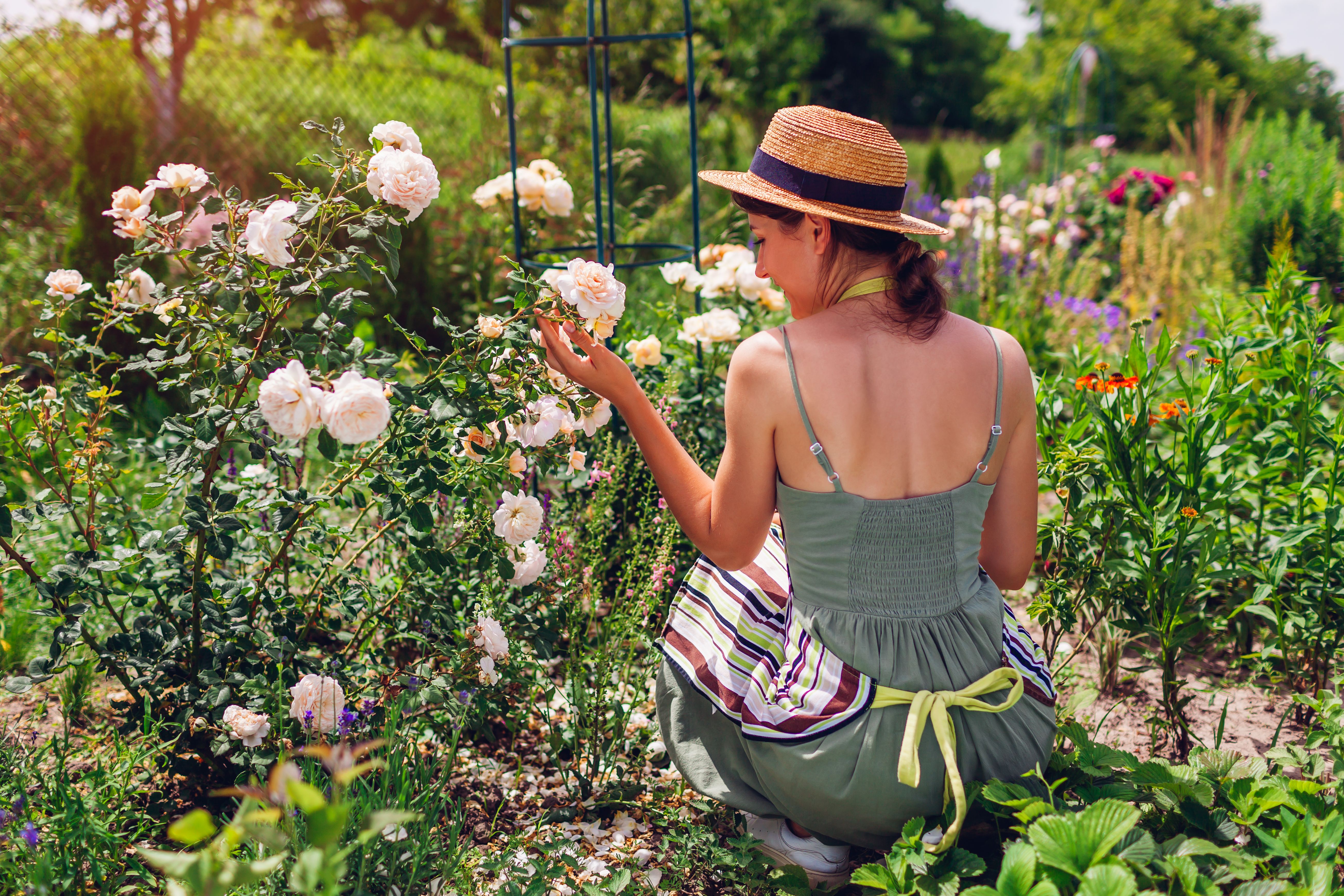 austin landscape care