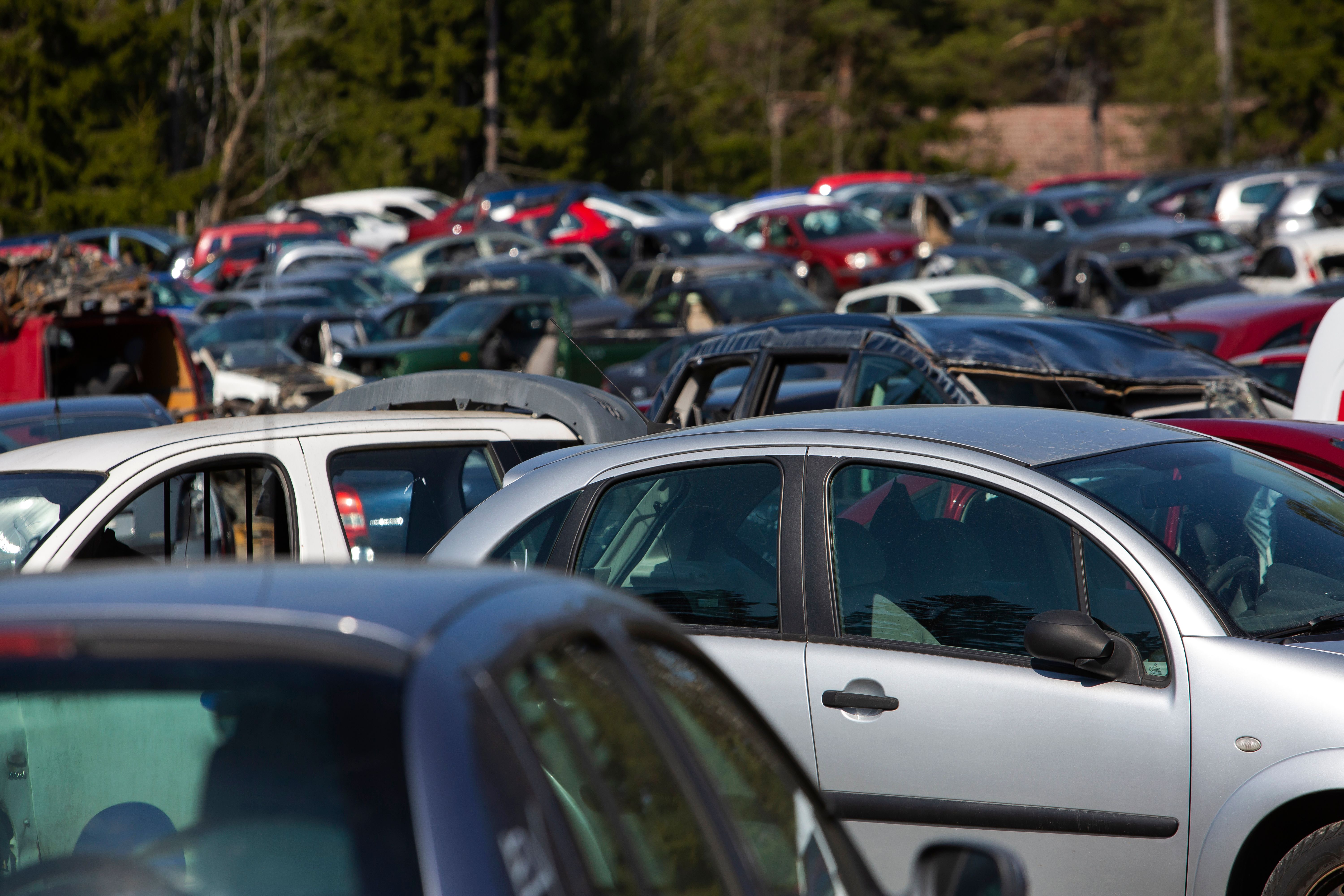 powersports dealership