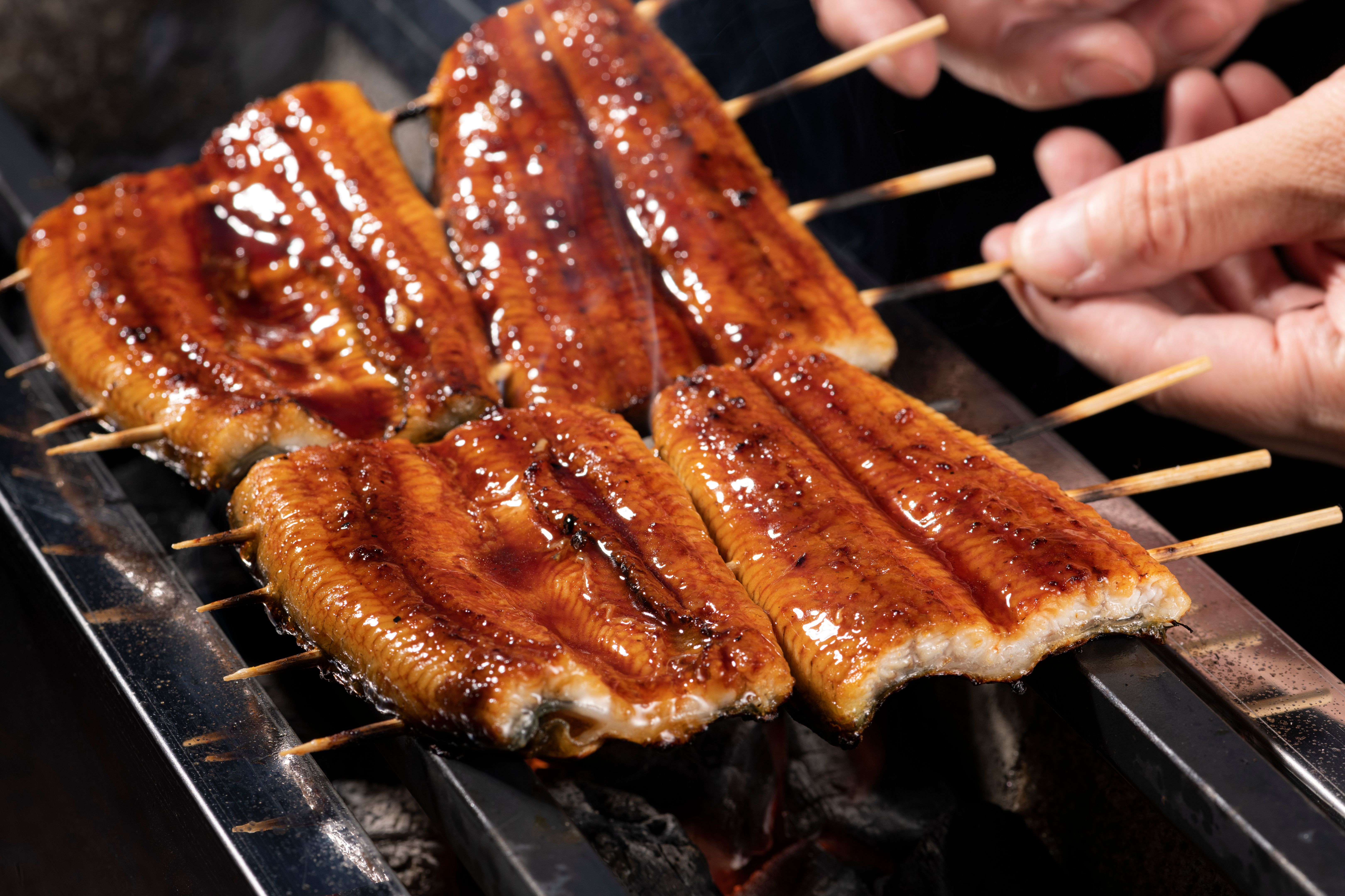 grilled unagi
