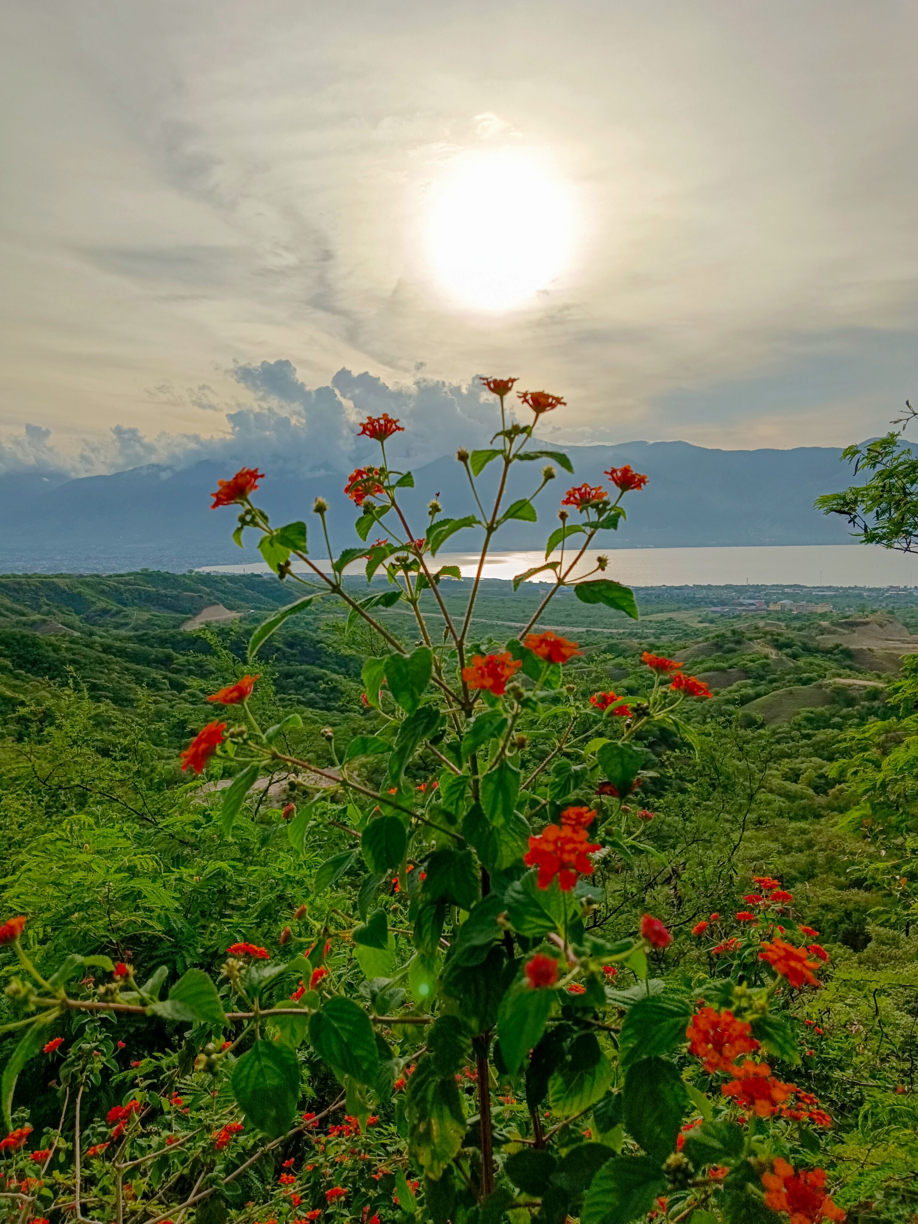 carmen de apicala paisaje