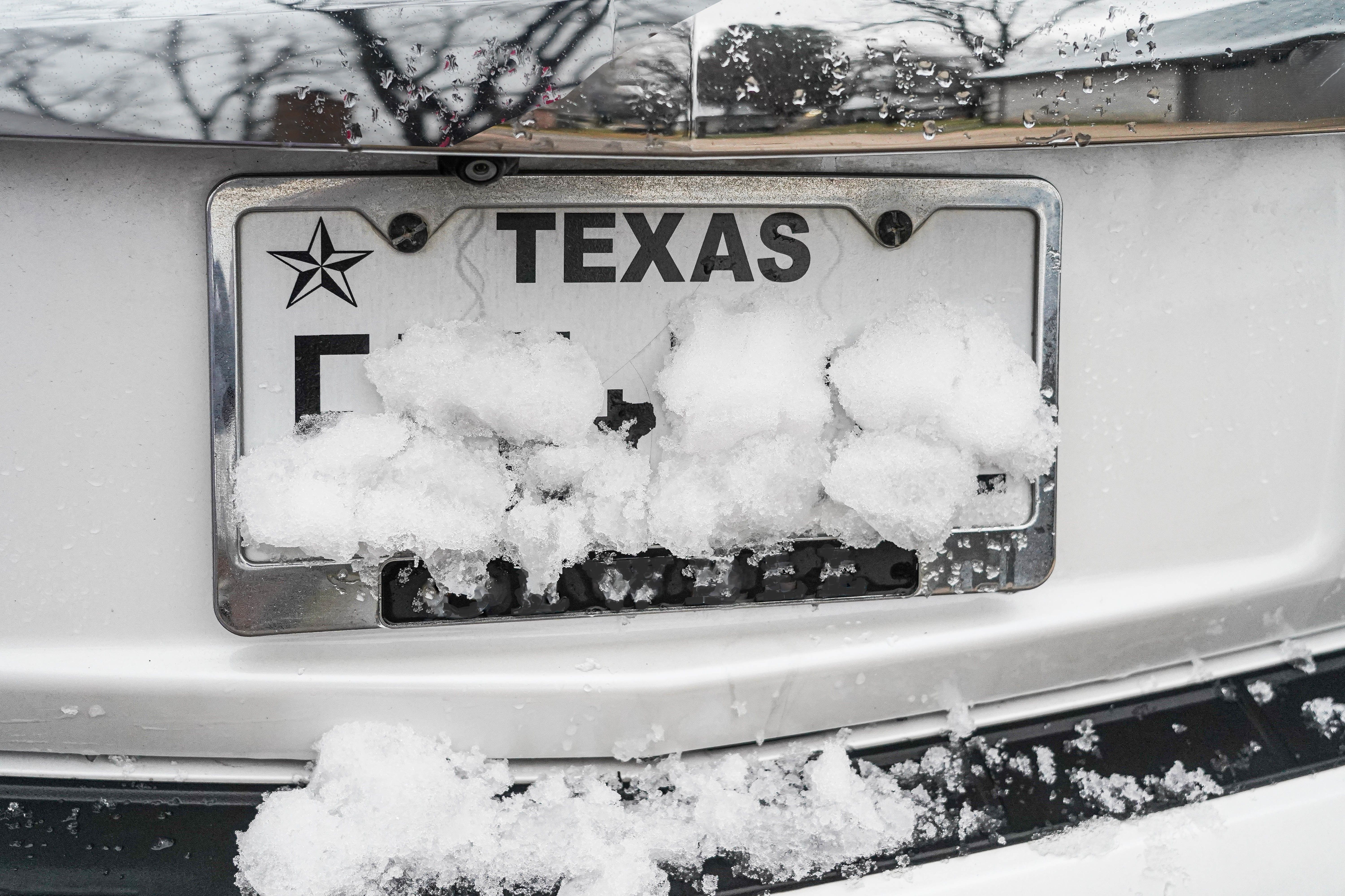 Texas winter