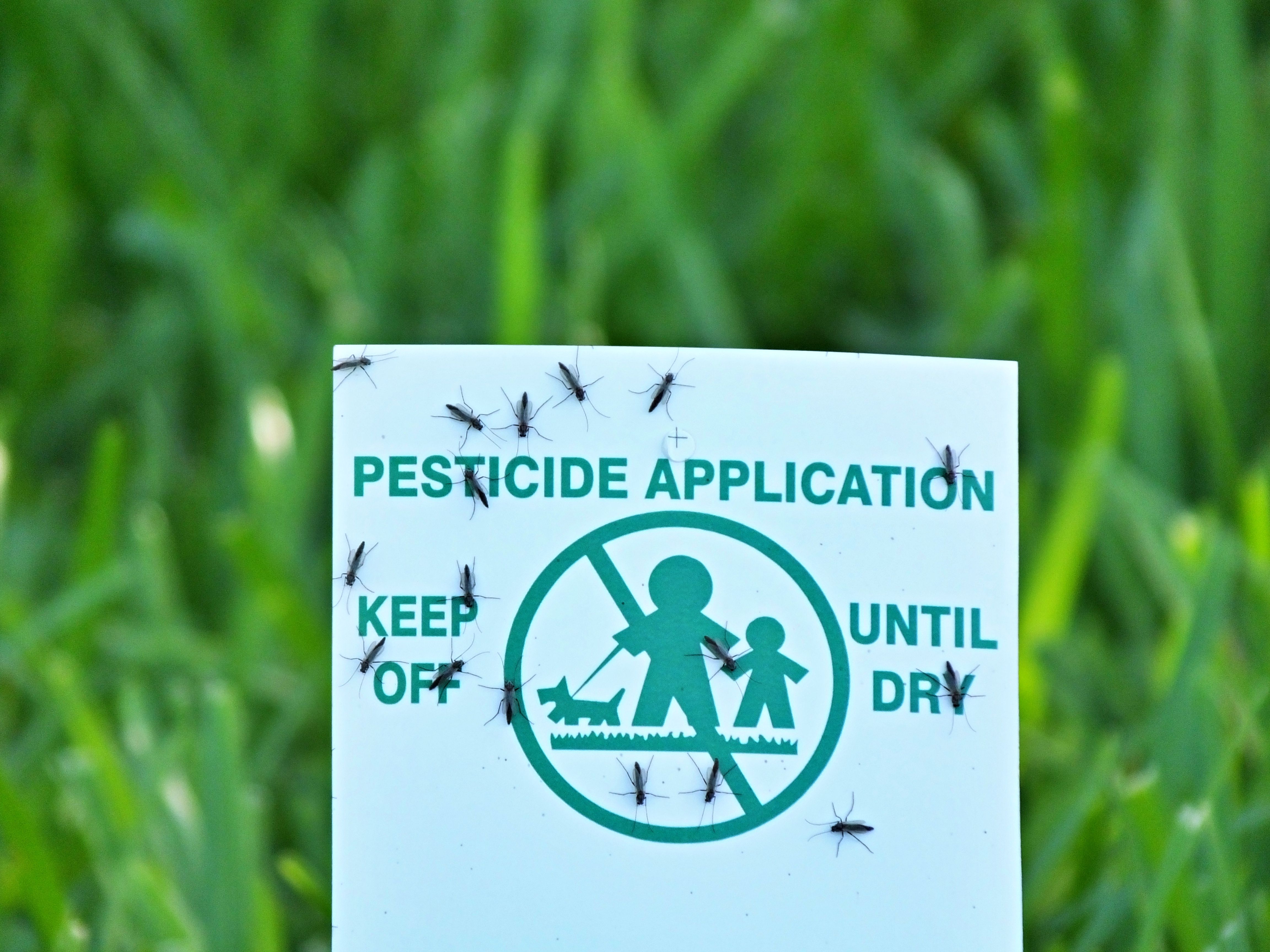 year-round pest management