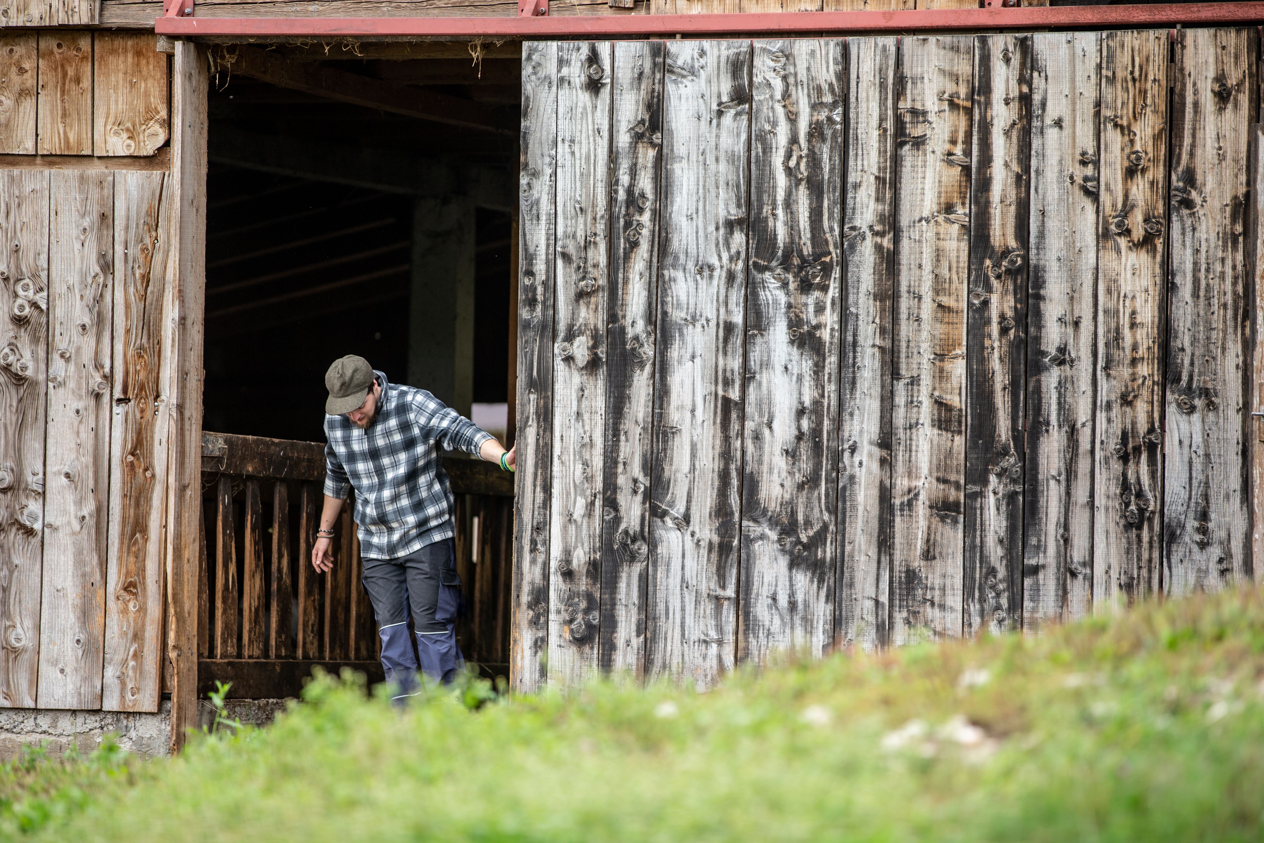 Lonely Working Farmer Closing the Gate of a Wooden Stable - stock photo