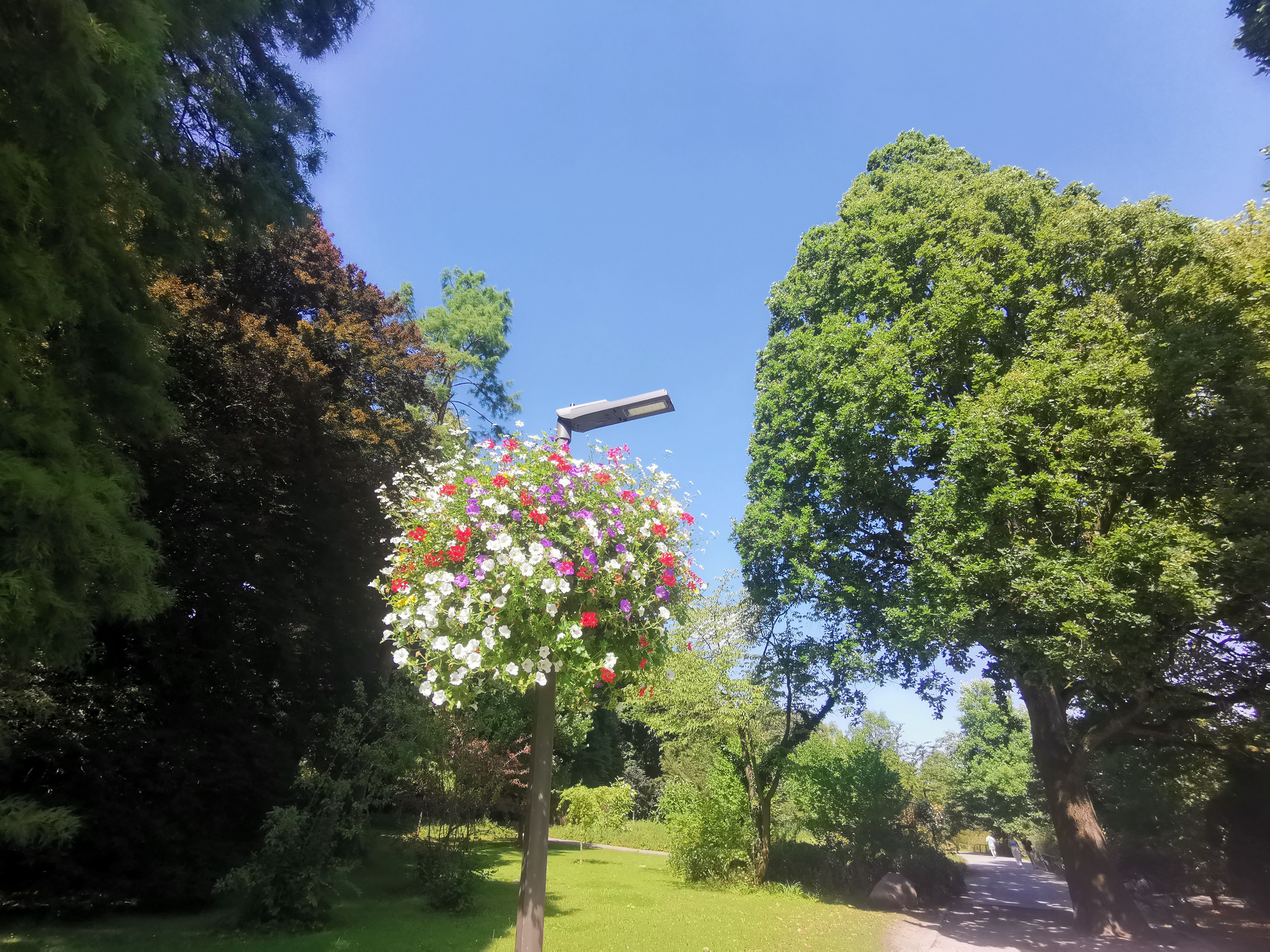 affordable gardening