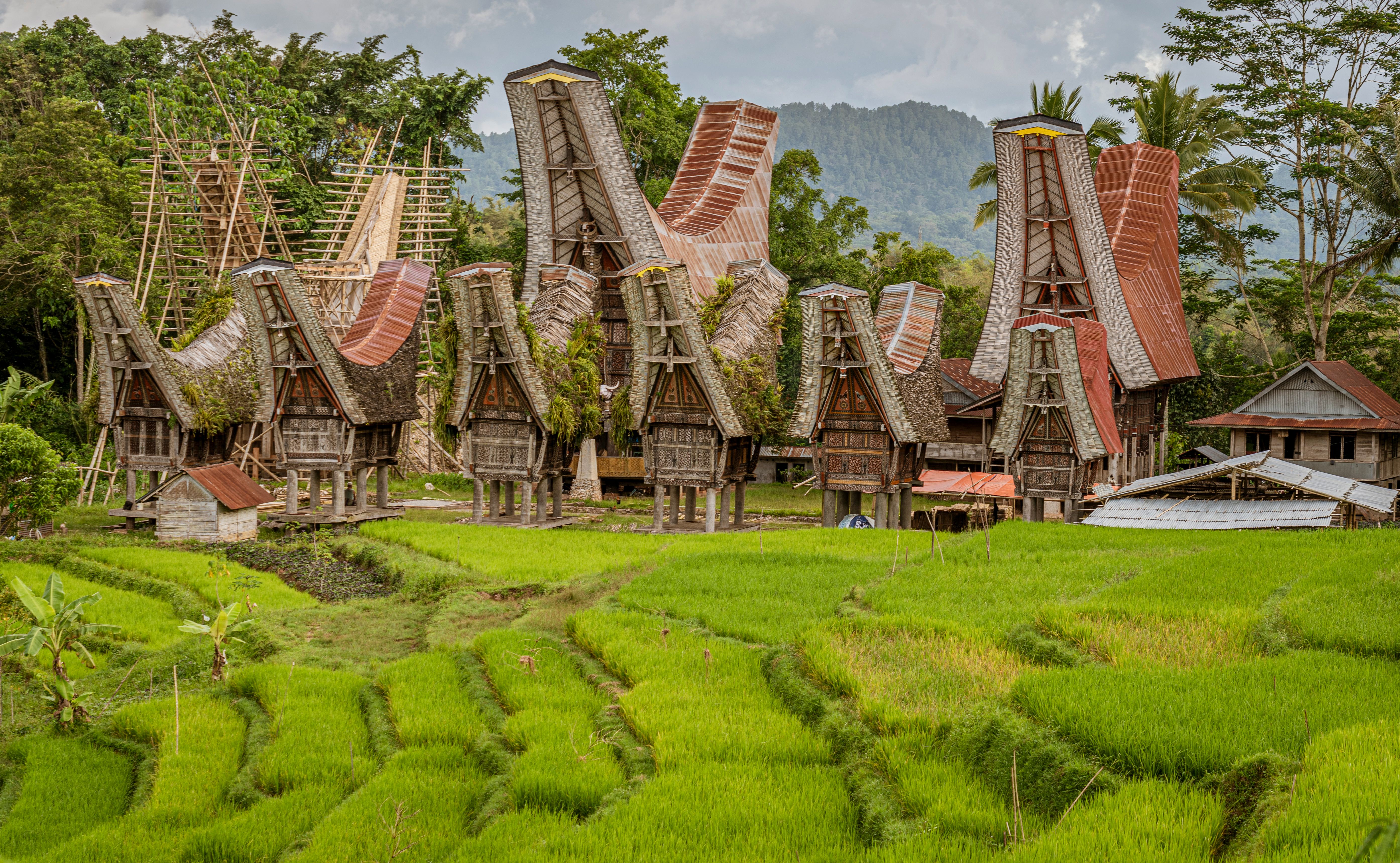 Java, Indonesia, June 13, 2022 - Toraja homes all follow the same rigid design both in shape and size - looking like a boat