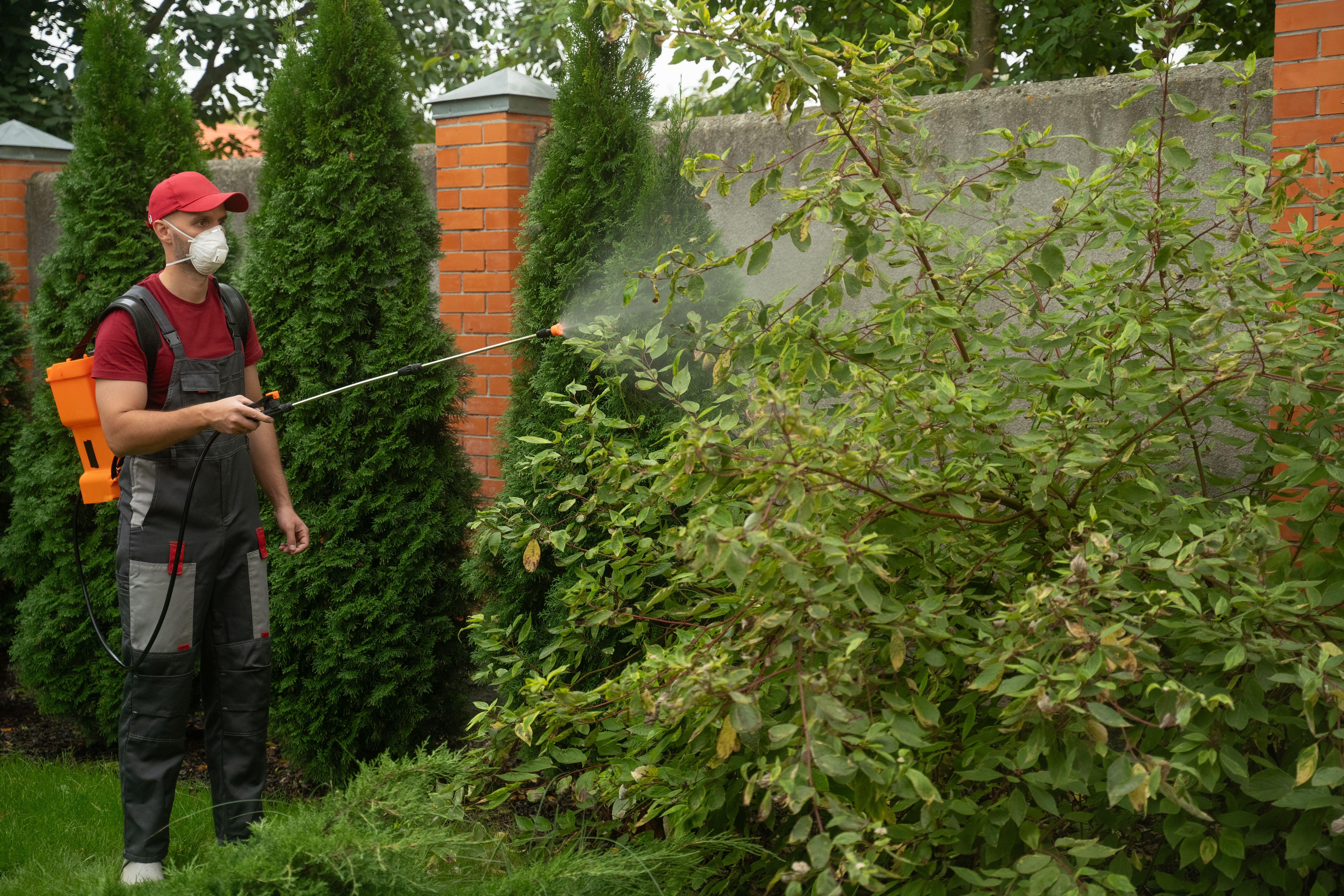pest management