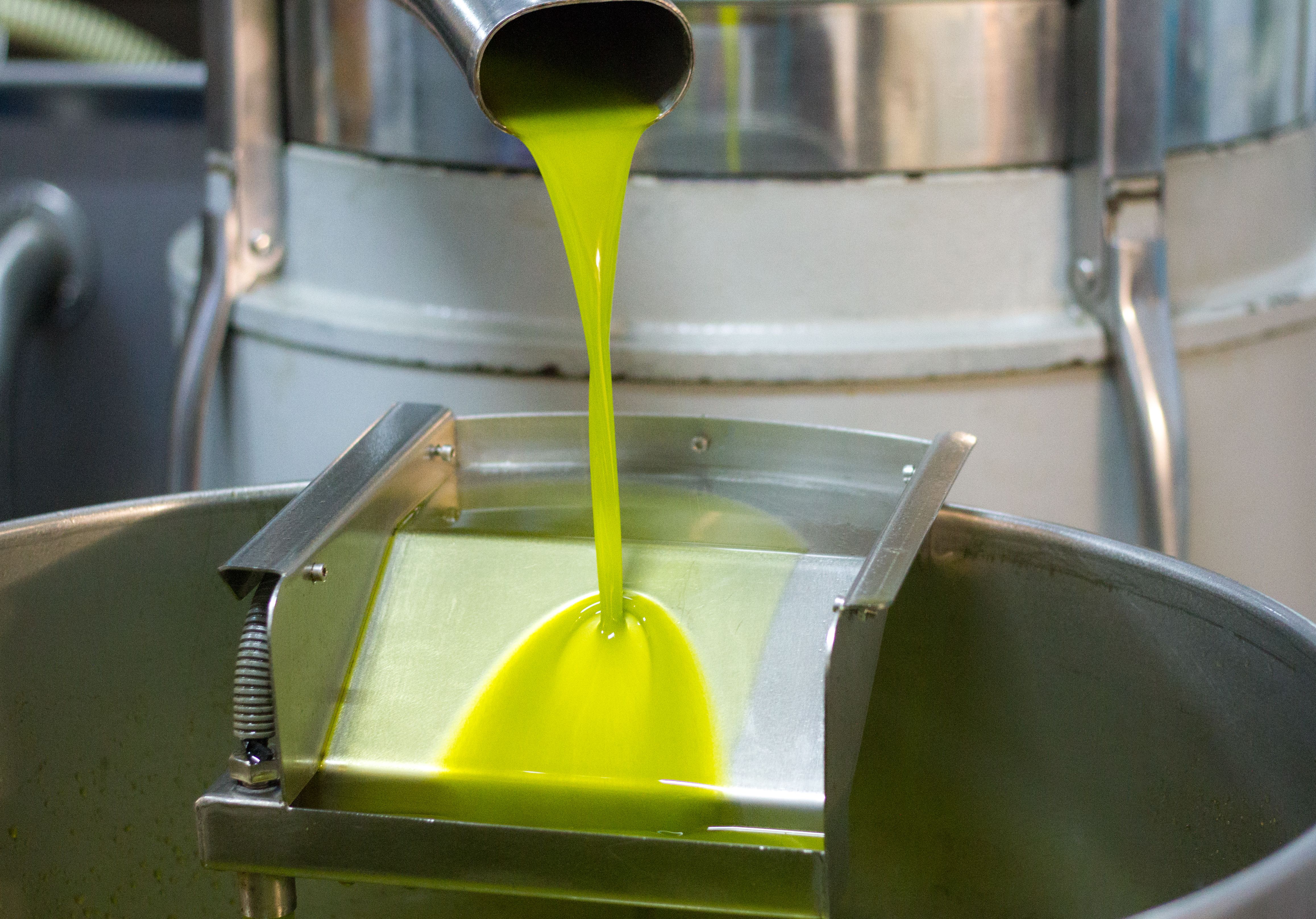 olive oil press