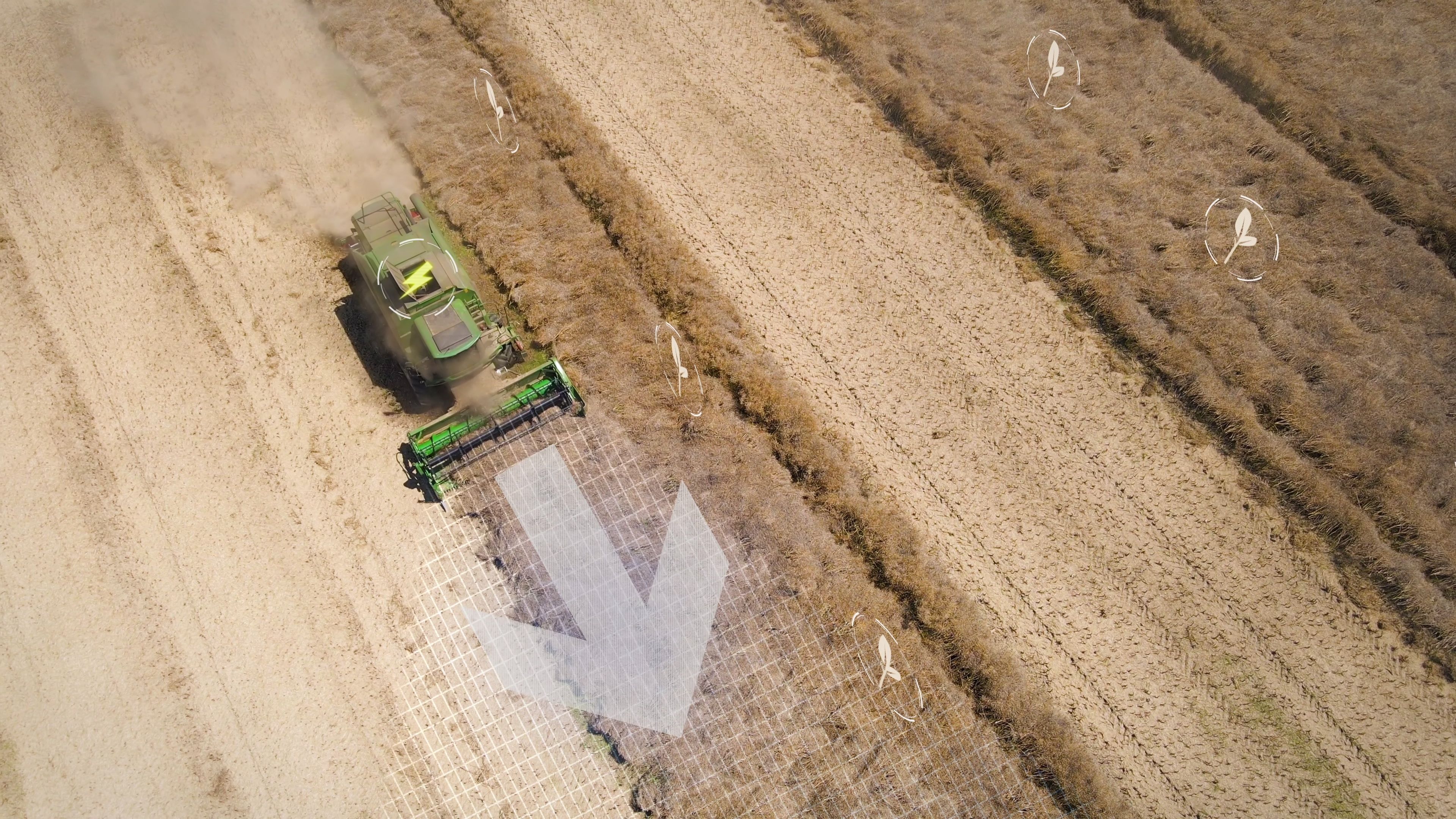 blockchain in agriculture