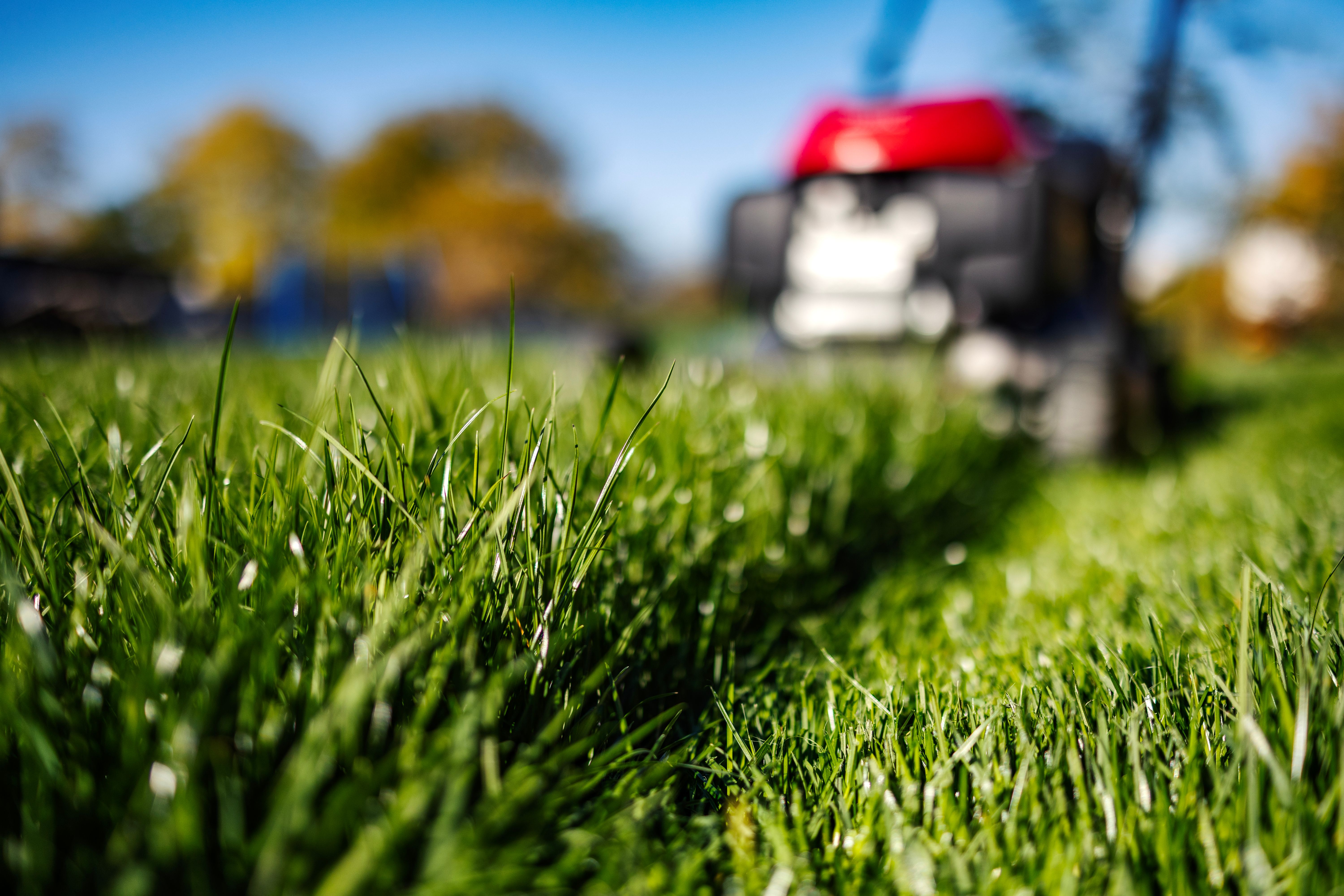 spring property maintenance