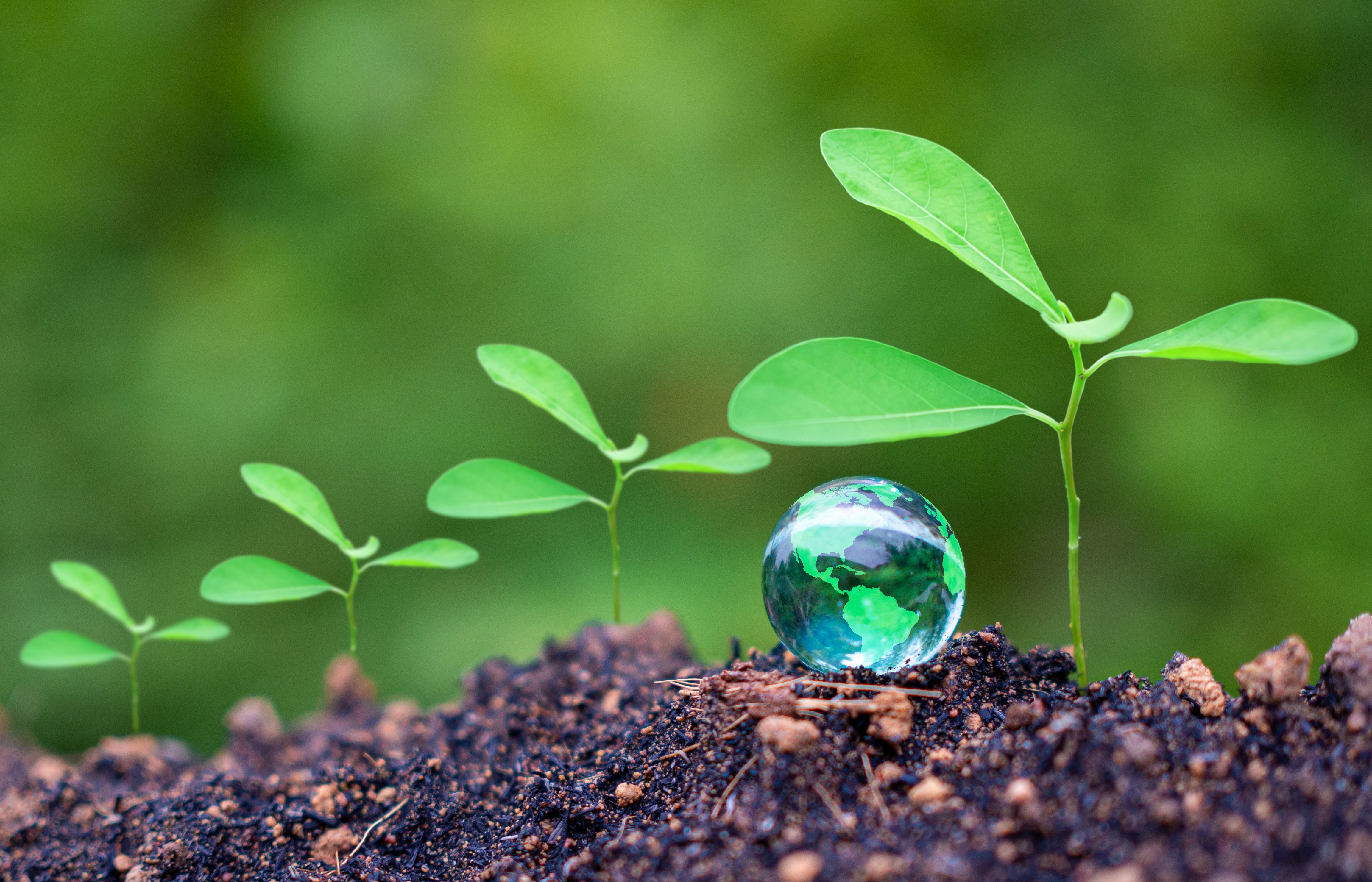 carbon footprint reduction