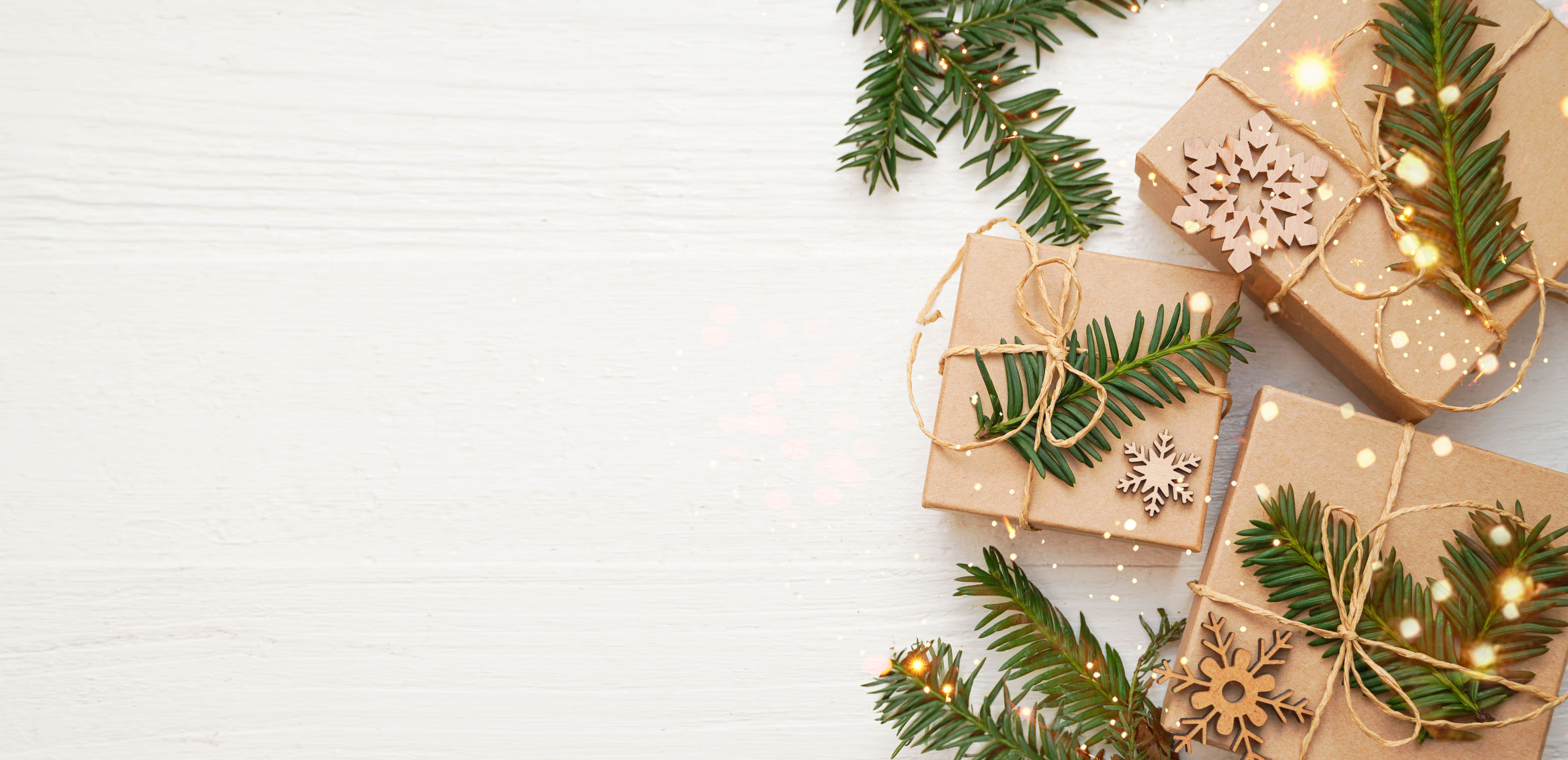 eco friendly christmas decor