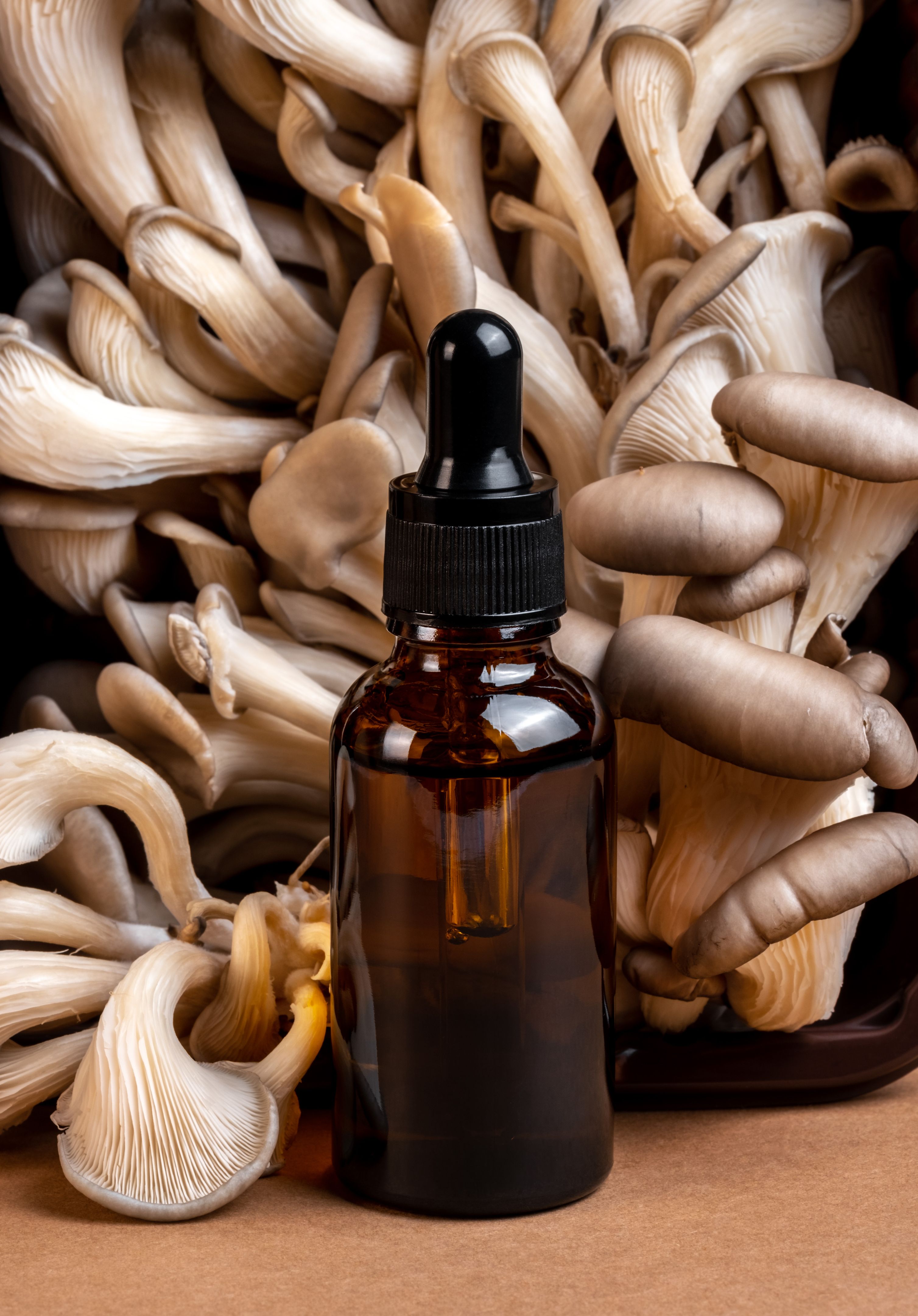 organic mushroom tincture