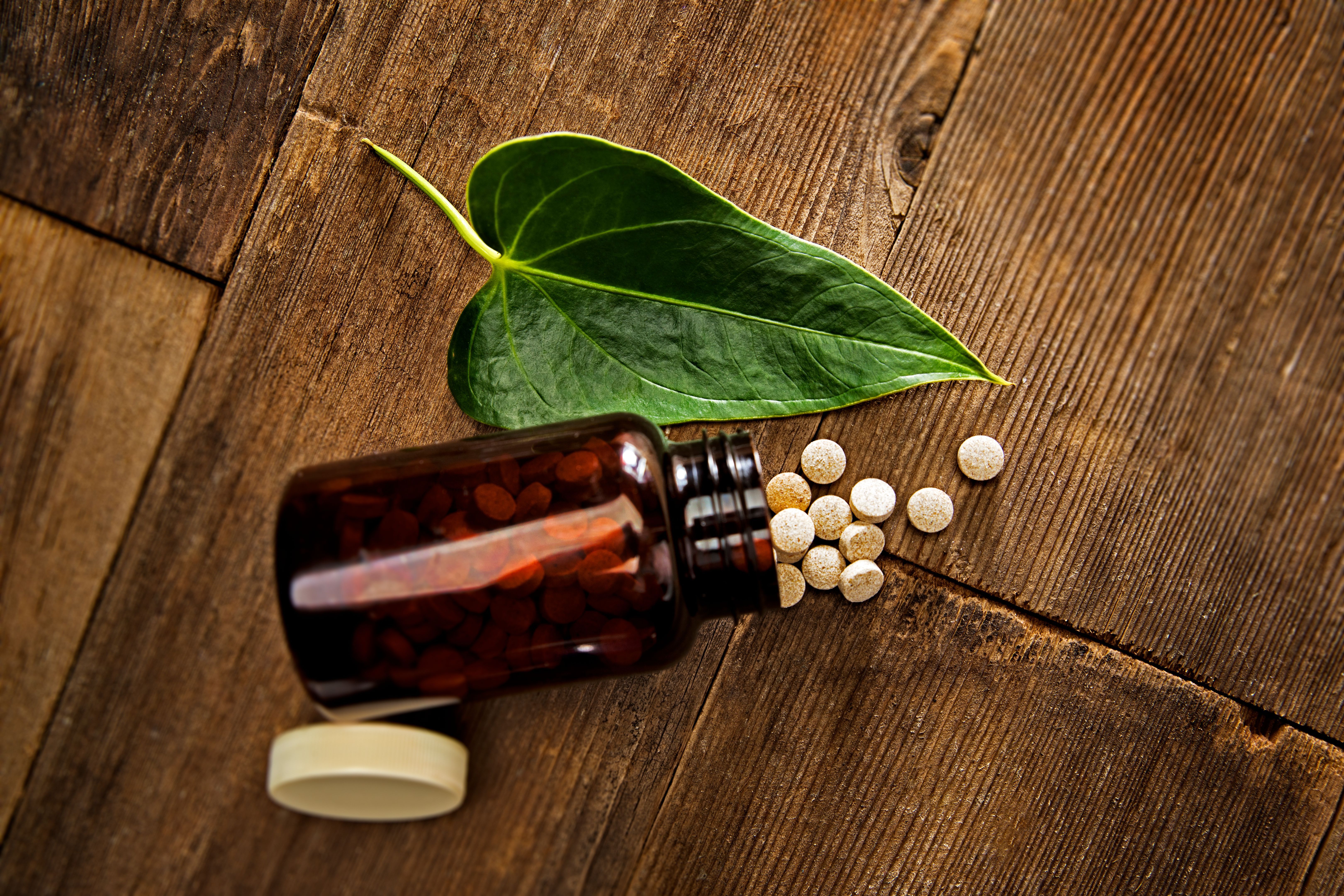 ashwagandha plant