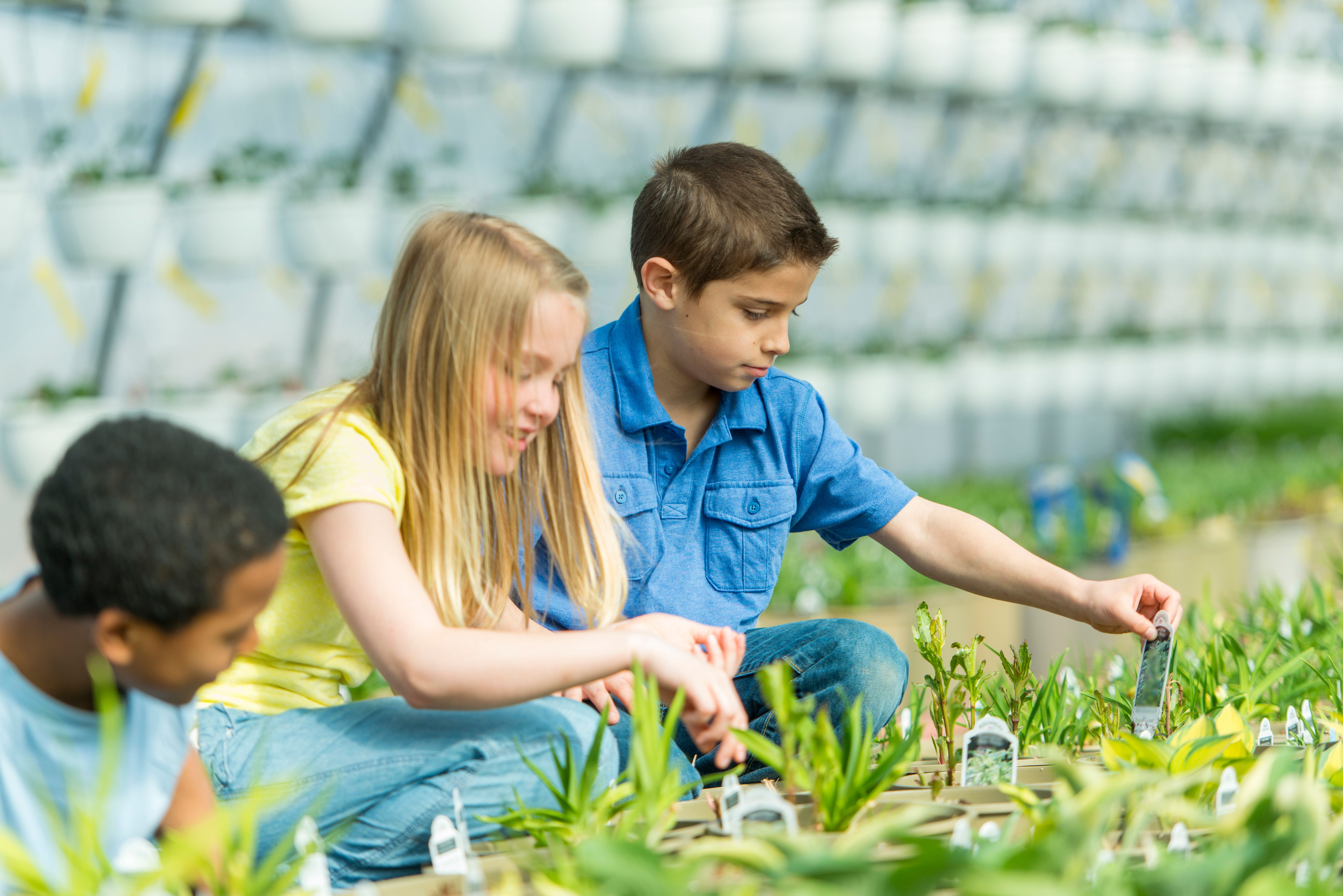 university green initiatives