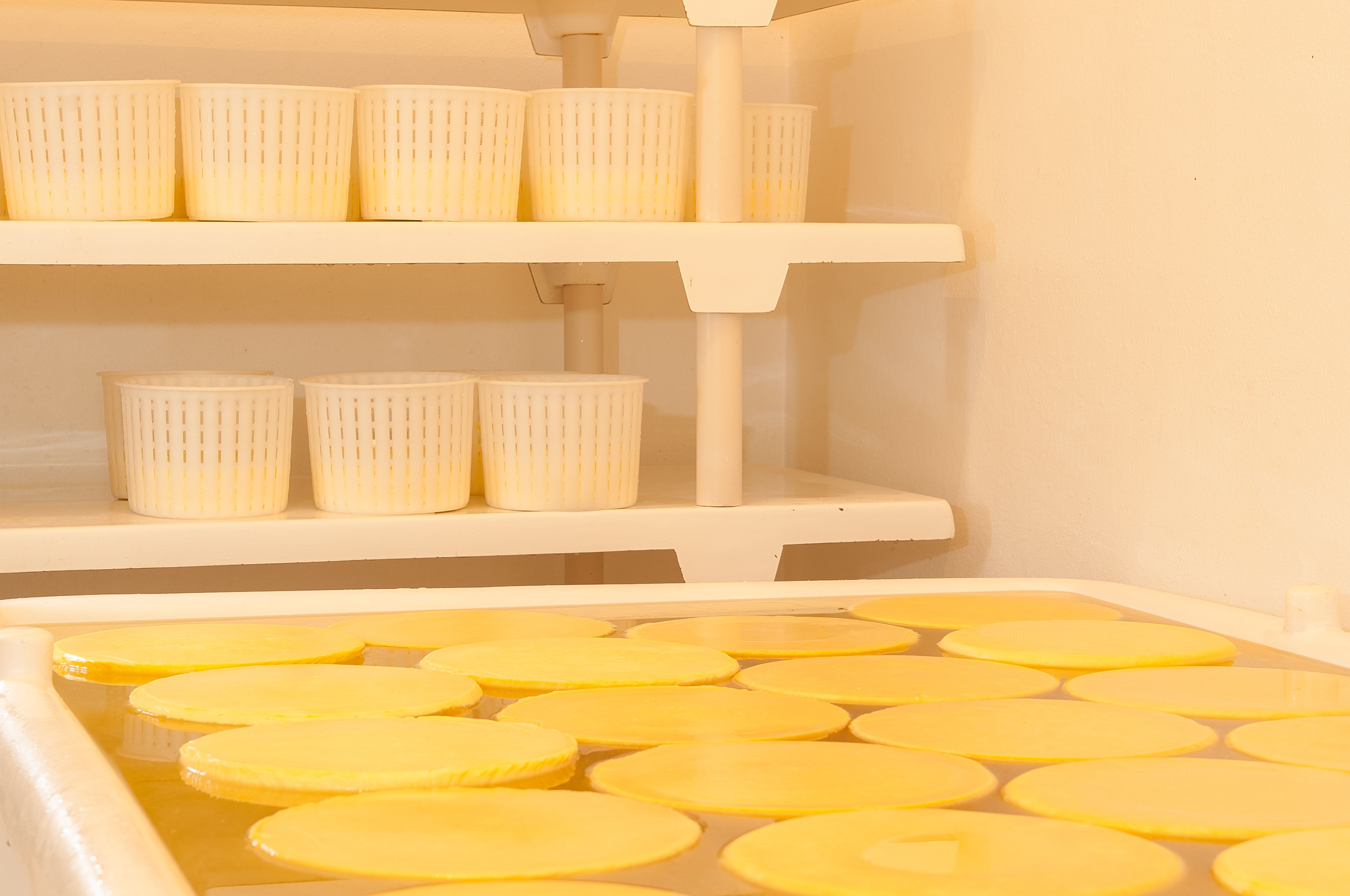 cheese dispenser