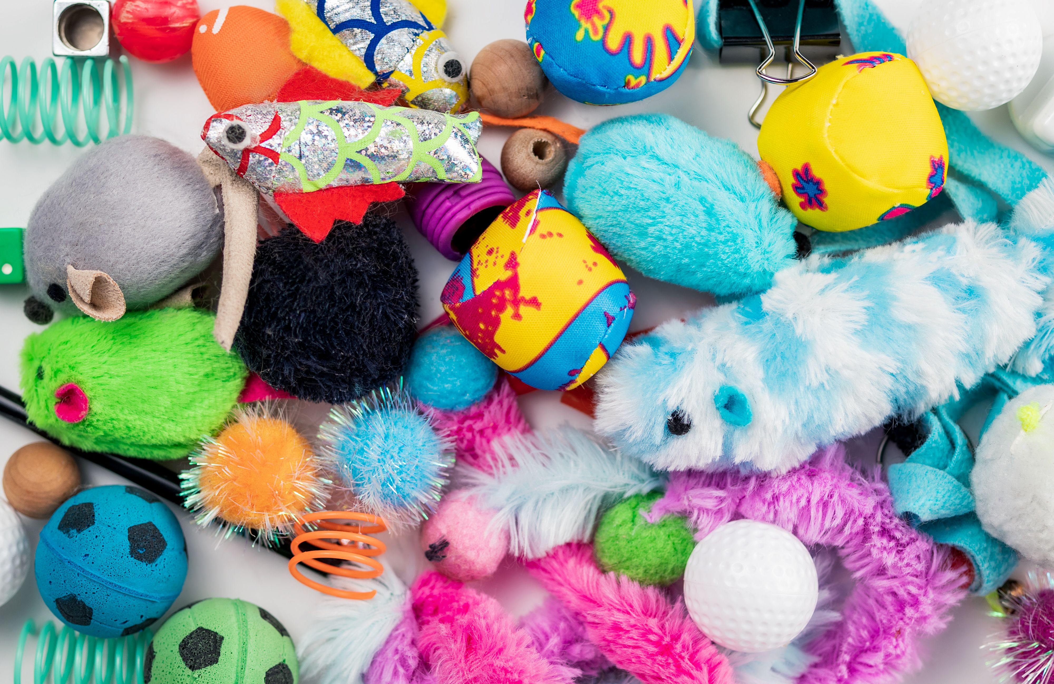 pet toys