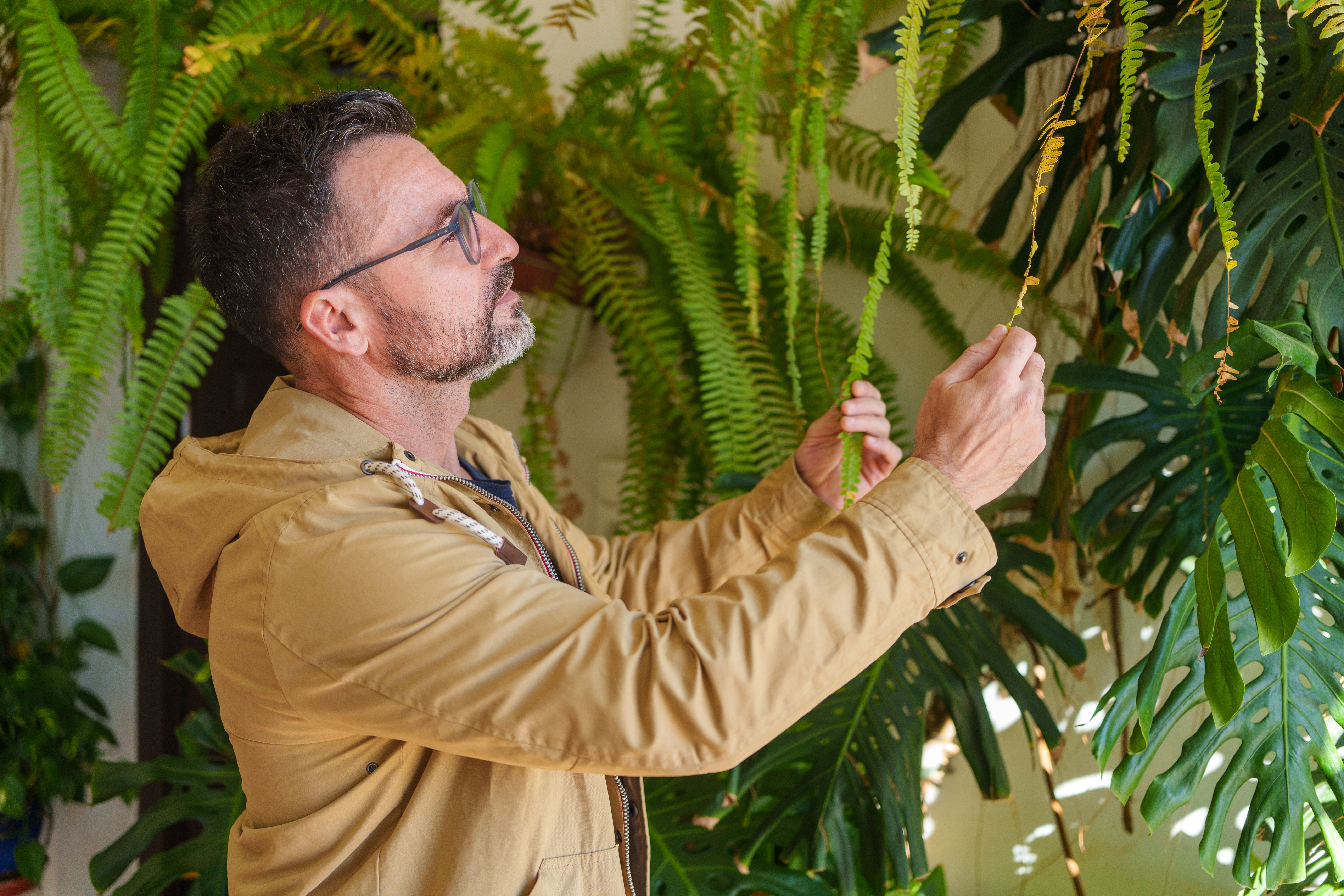 tropical home inspection