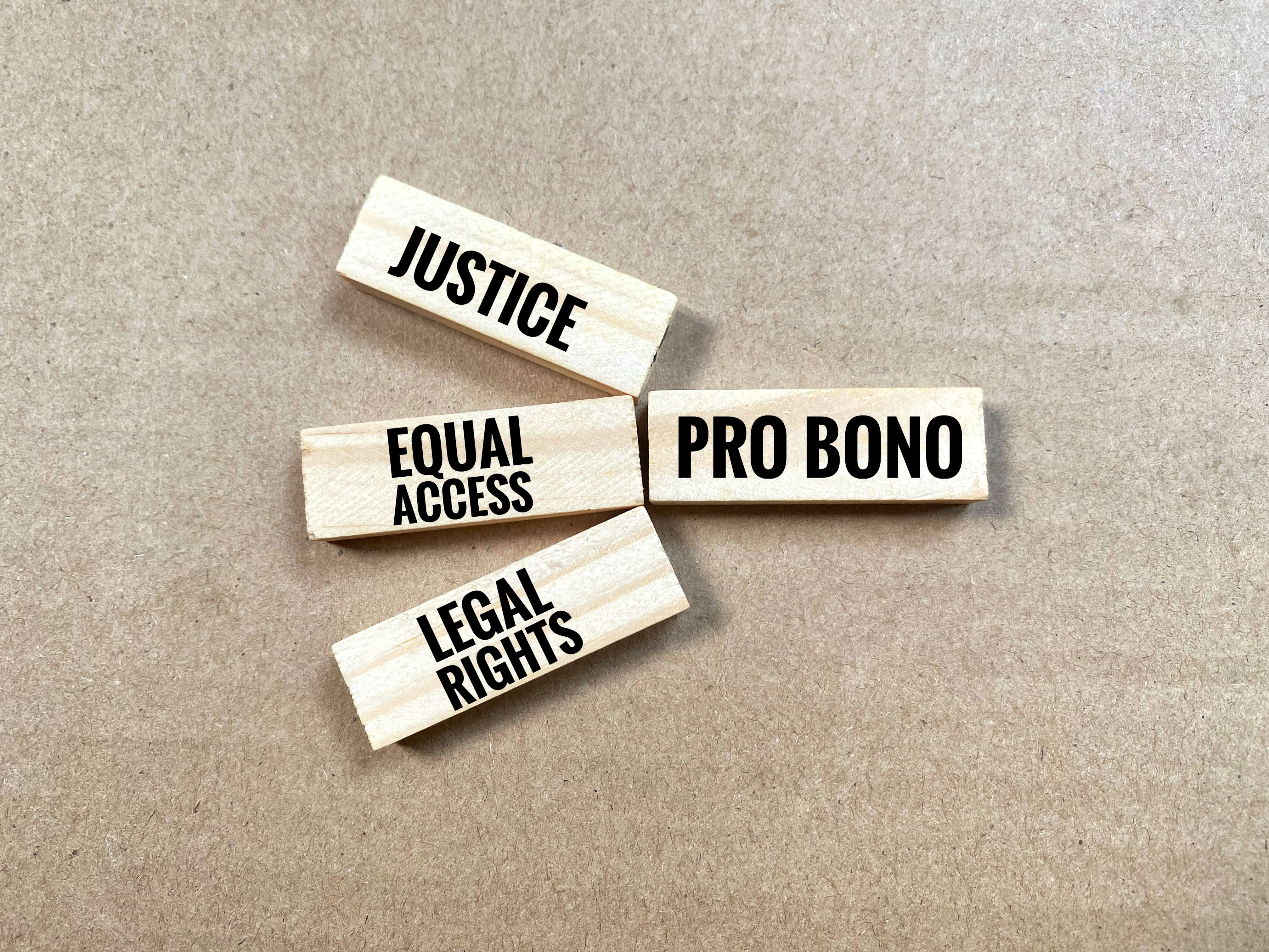 pro bono legal aid