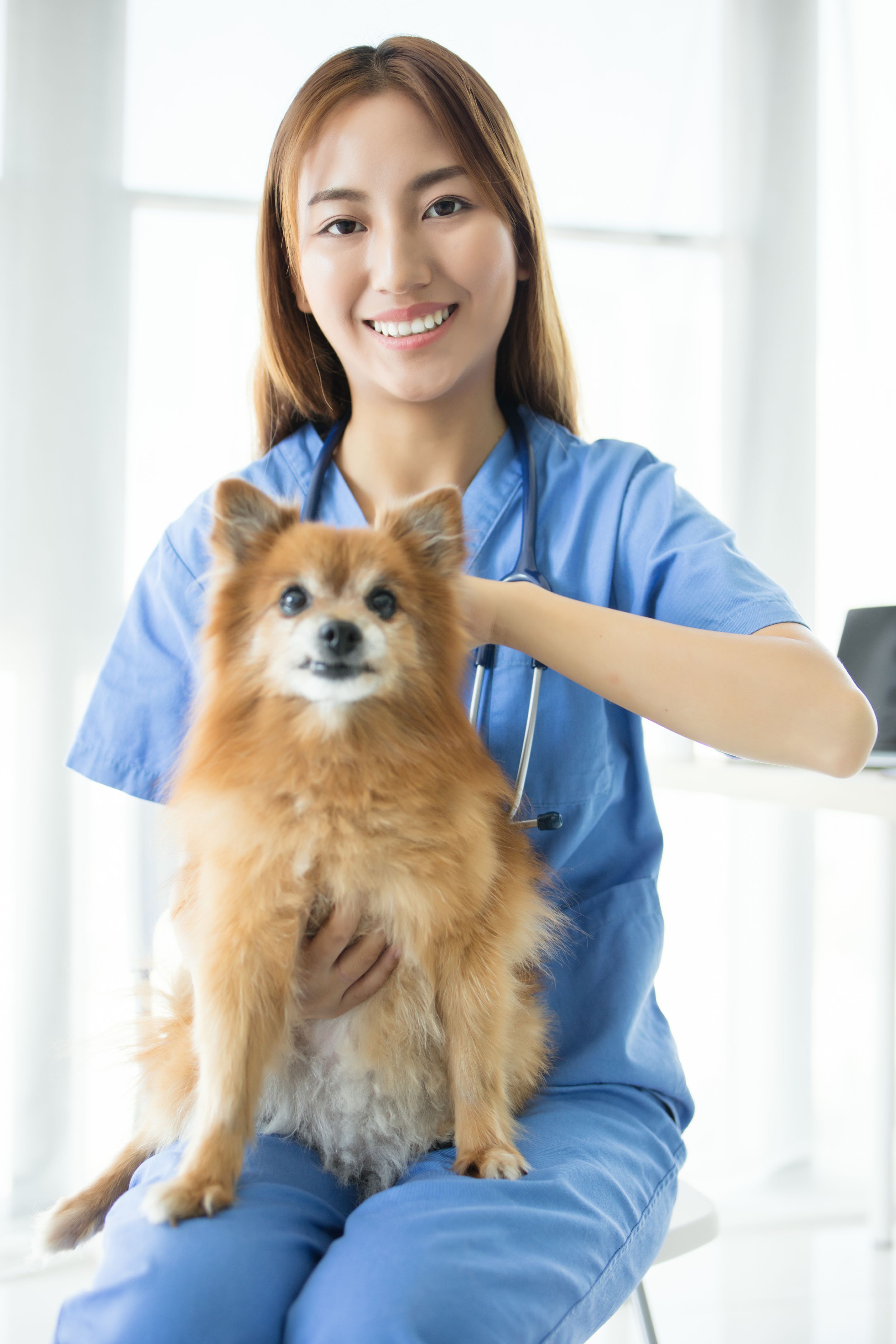 affordable inspection