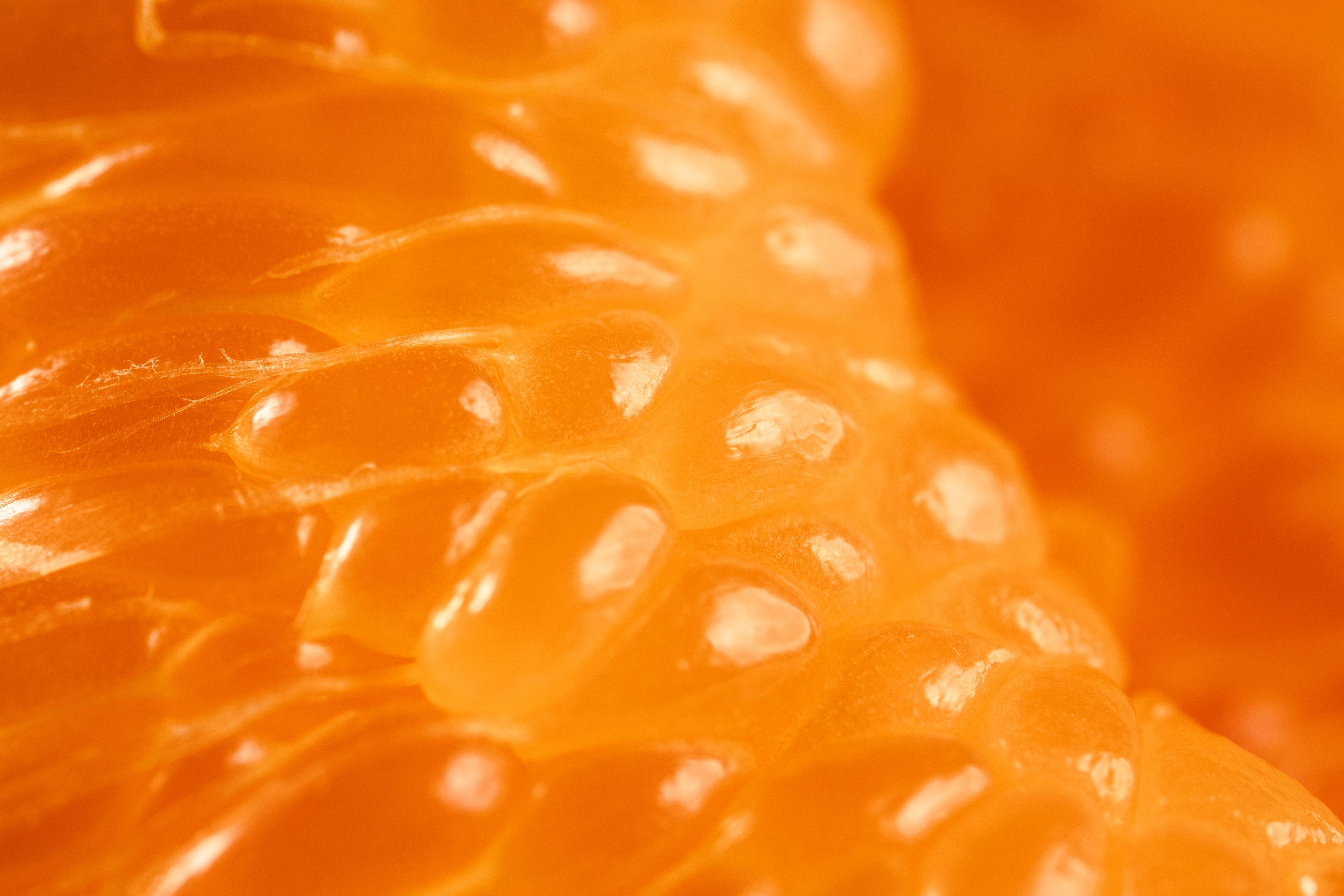 orange peel texture