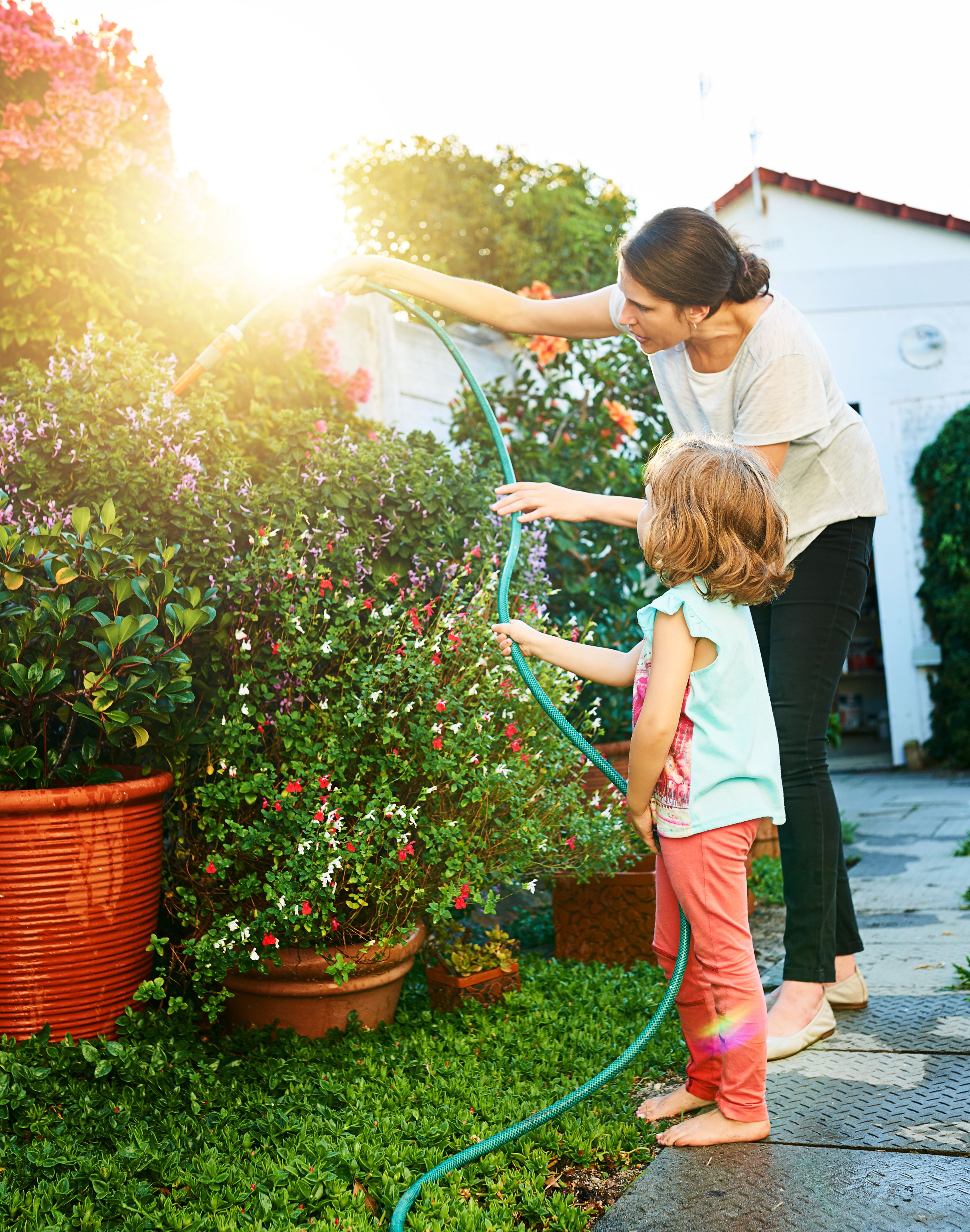 water conservation gardening
