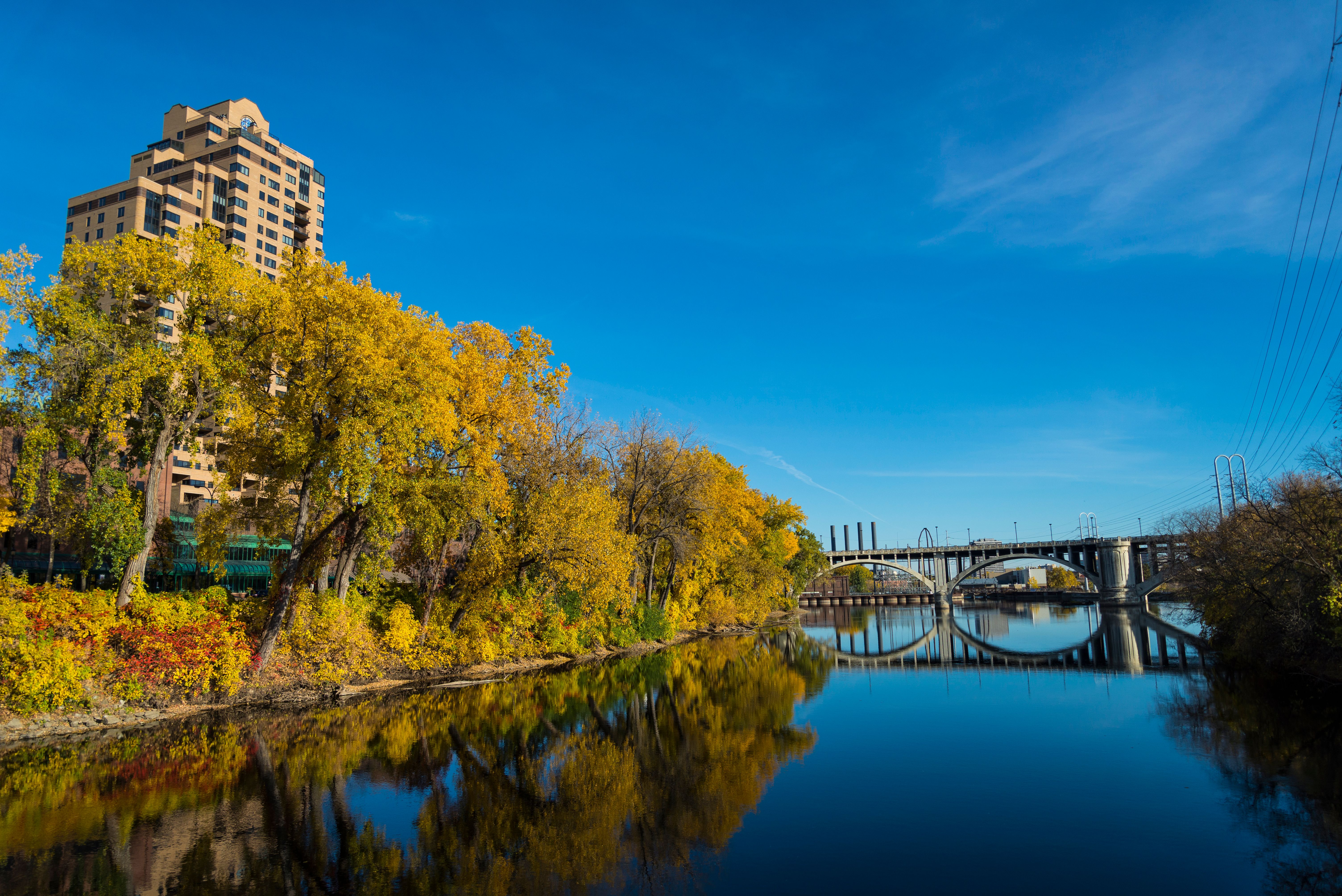minneapolis cannabis