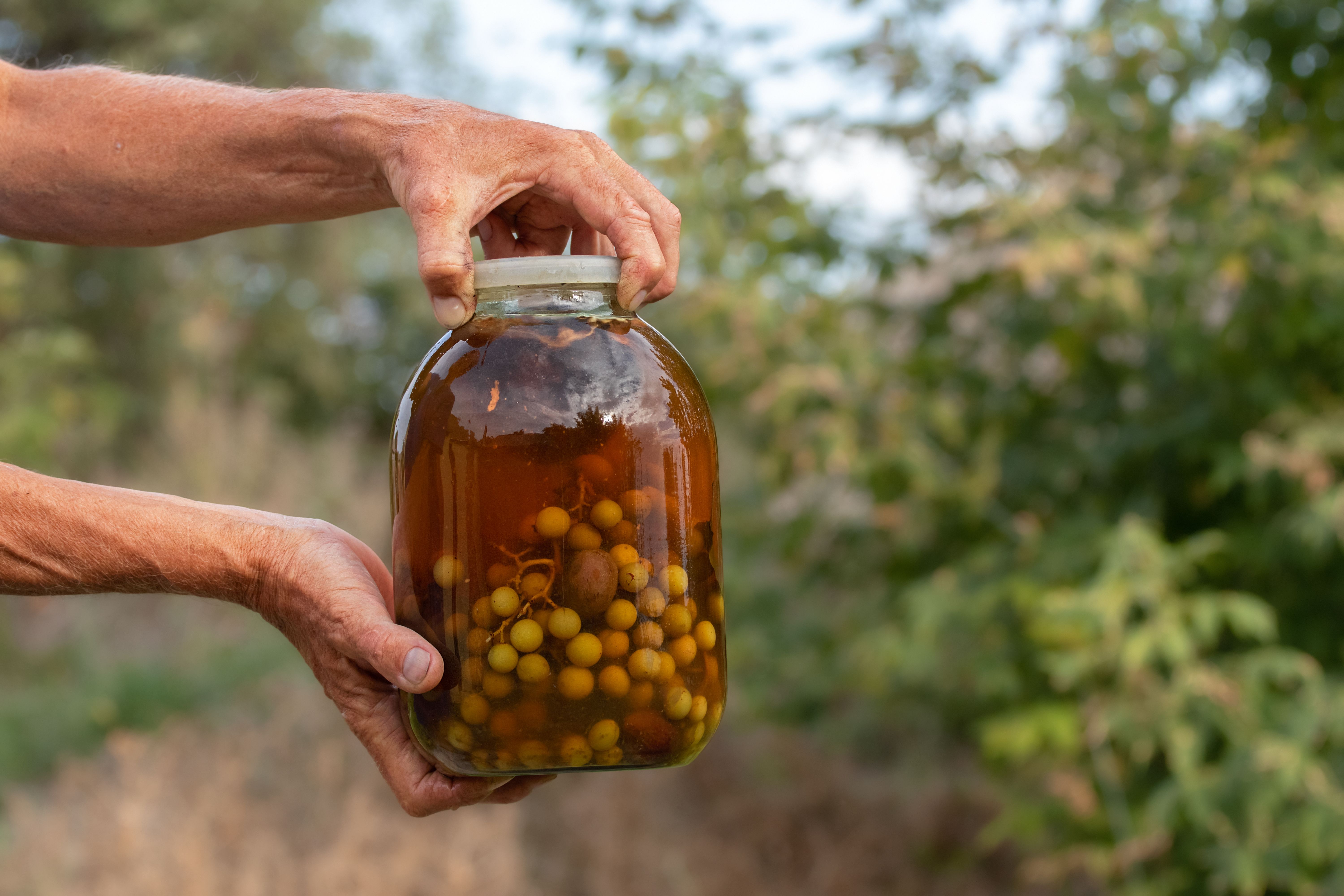 traditional food preservation