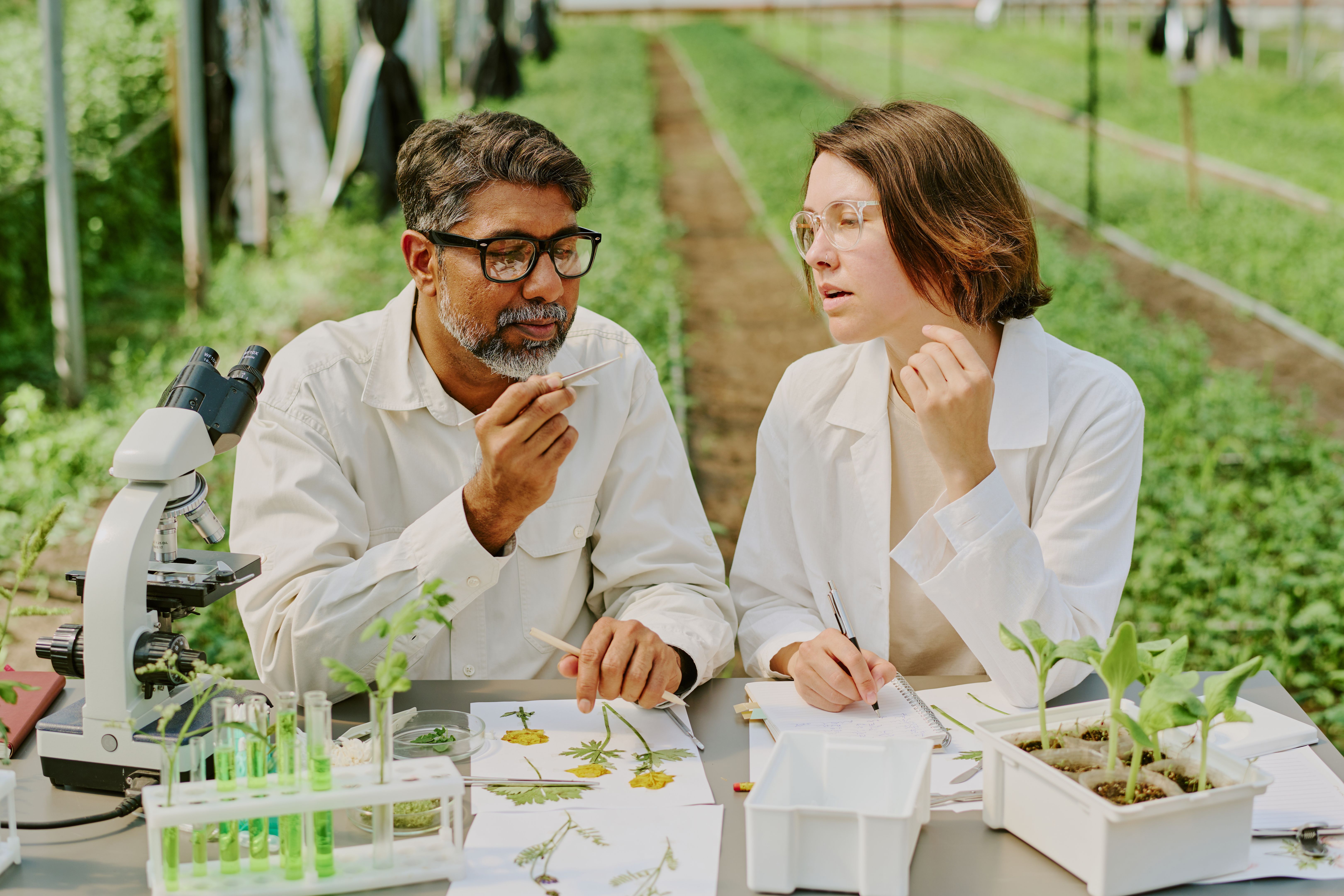 interdisciplinary teamwork